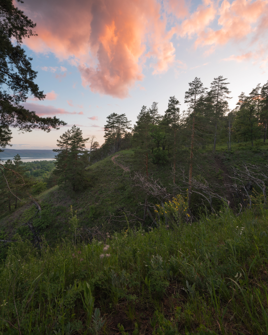 , Алексей Проняхин