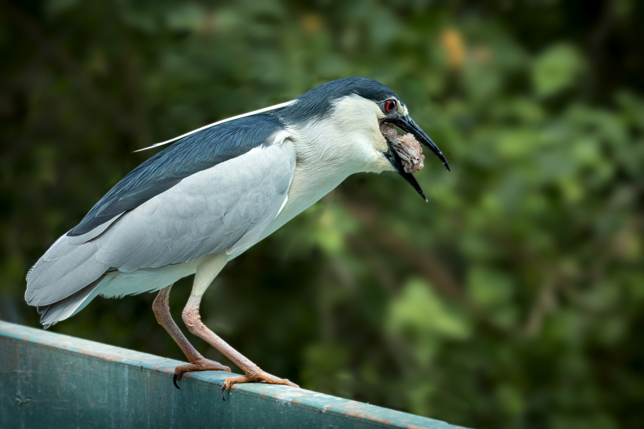 , Горбачева Маментьева Татьяна