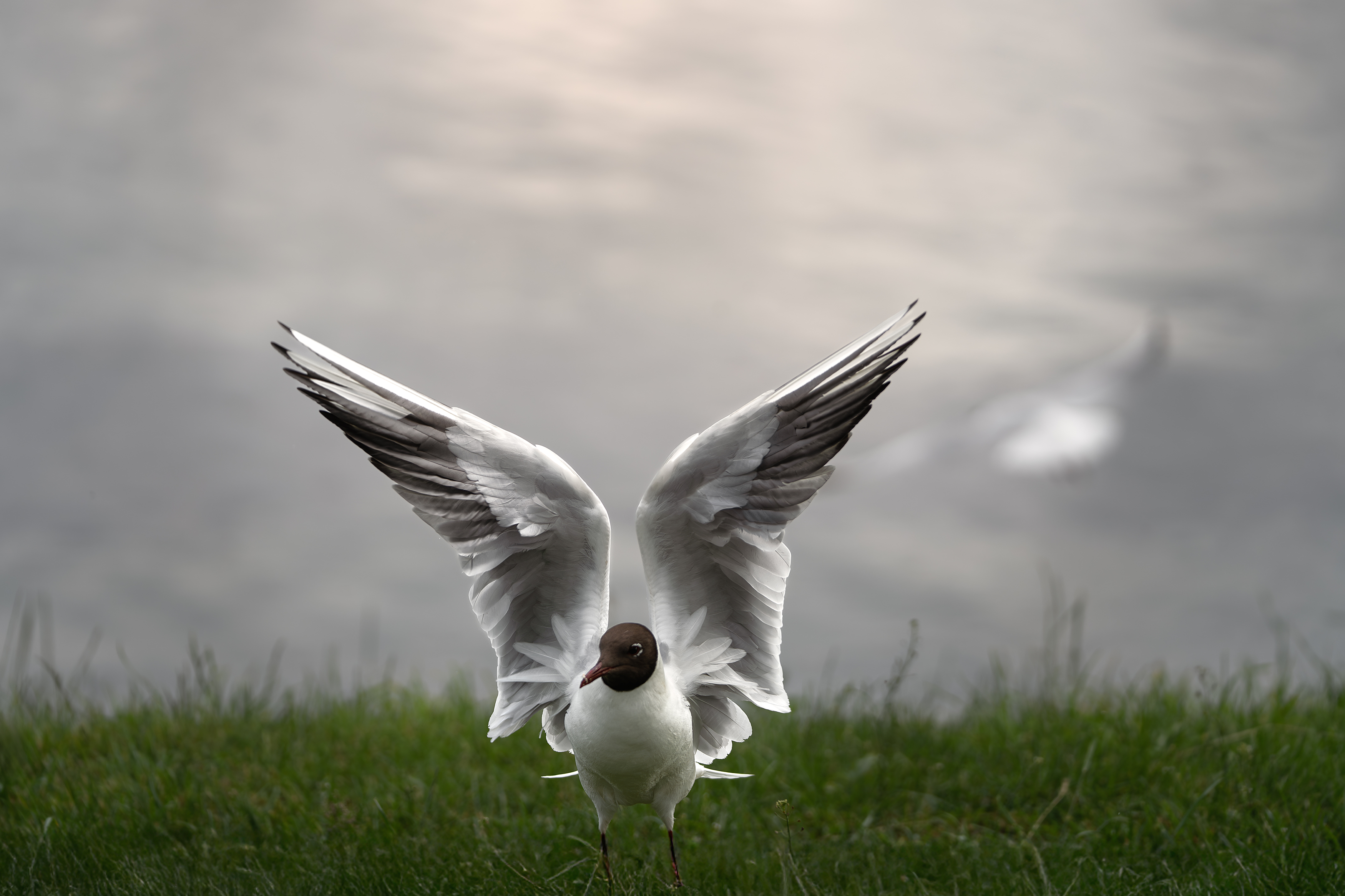 , Шимаковский Юрий