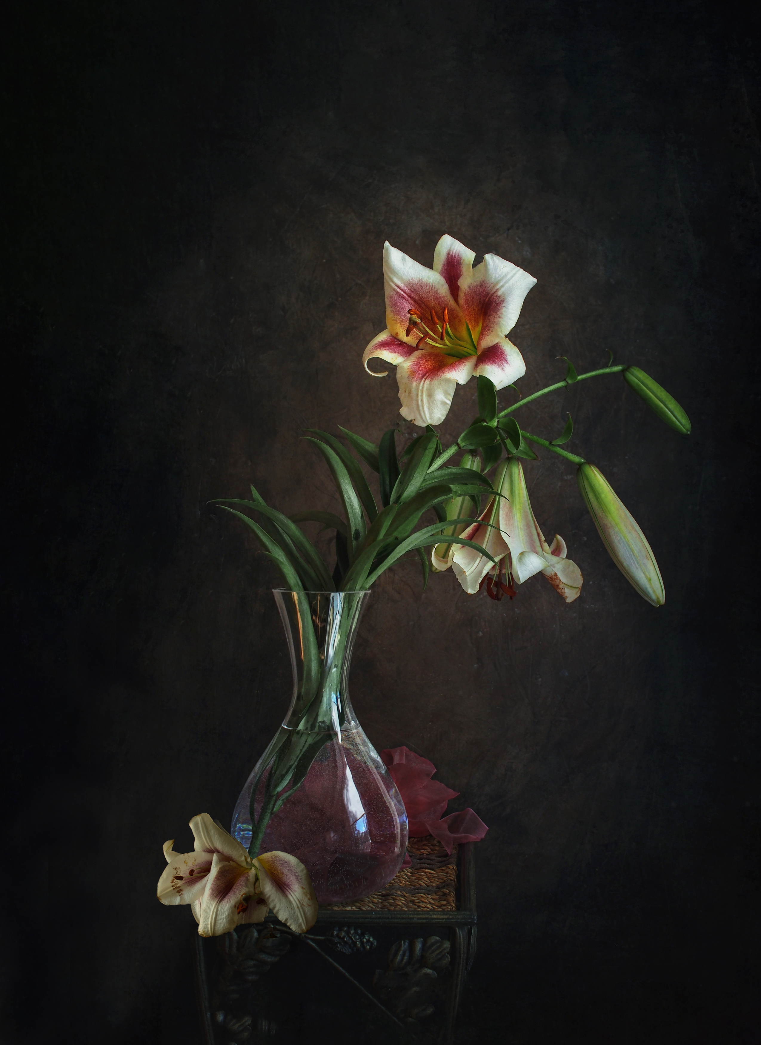 , Svetlana Inyusheva