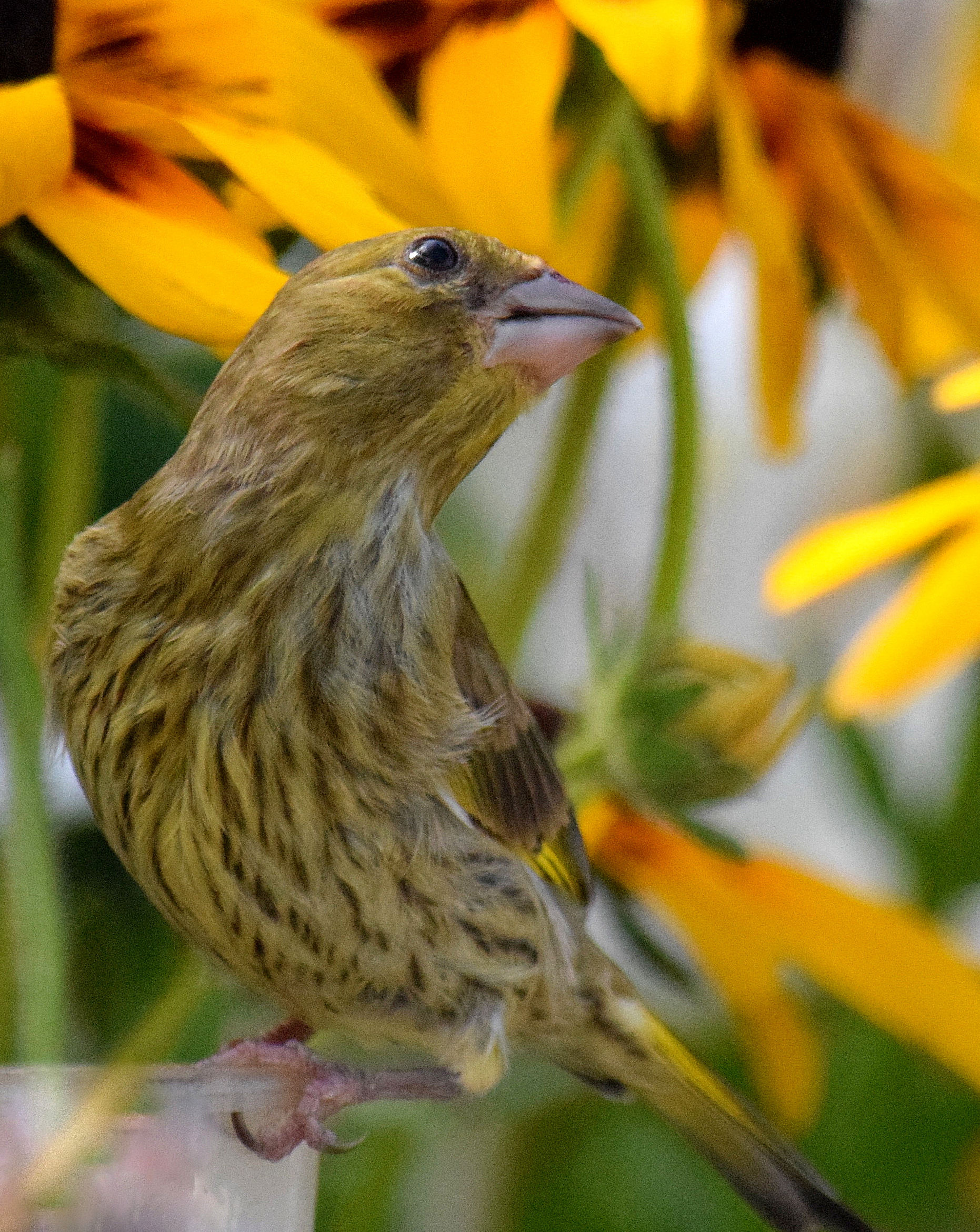 листопад, Неверова Наталья