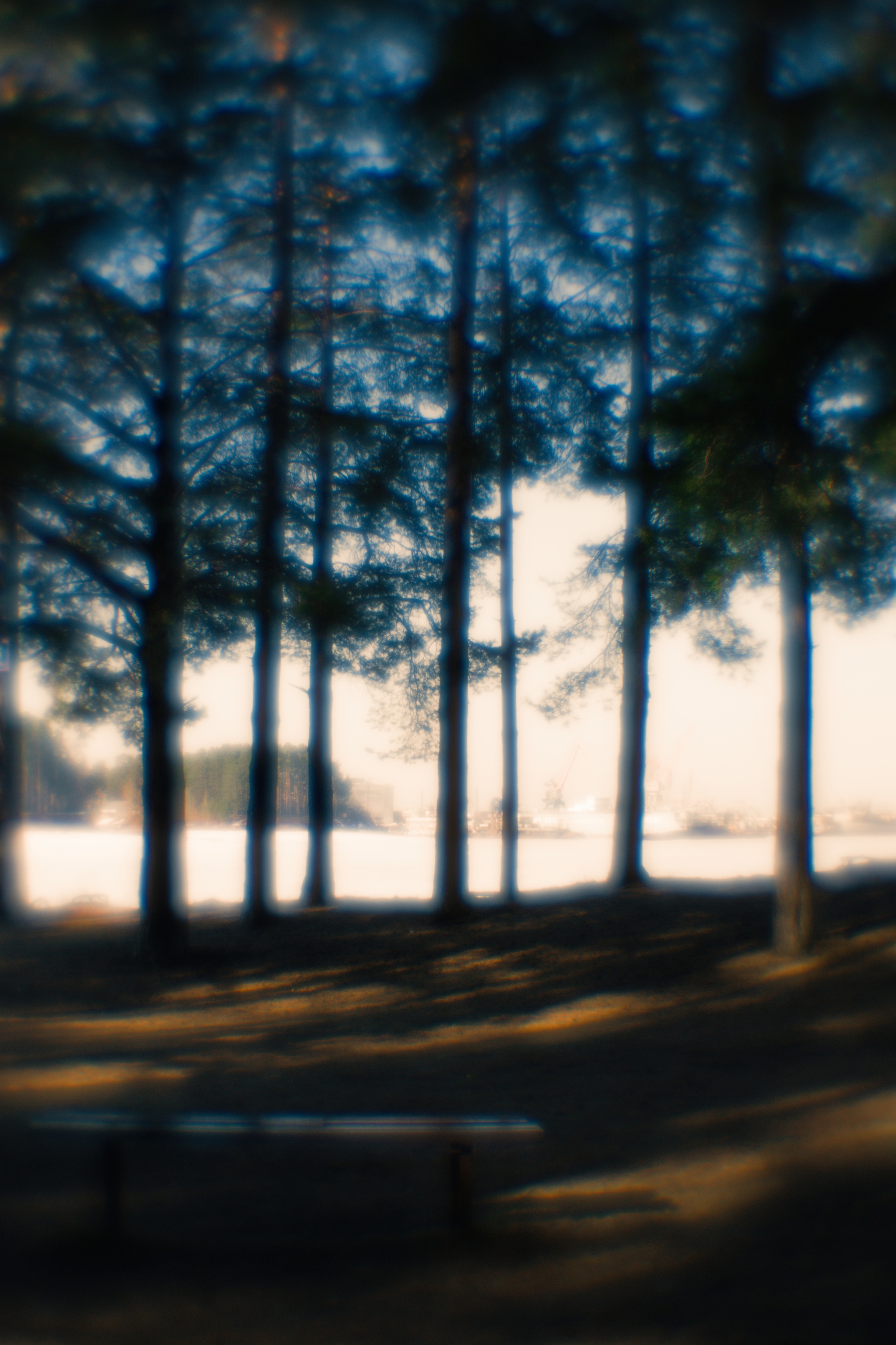 , Таня Смолевская