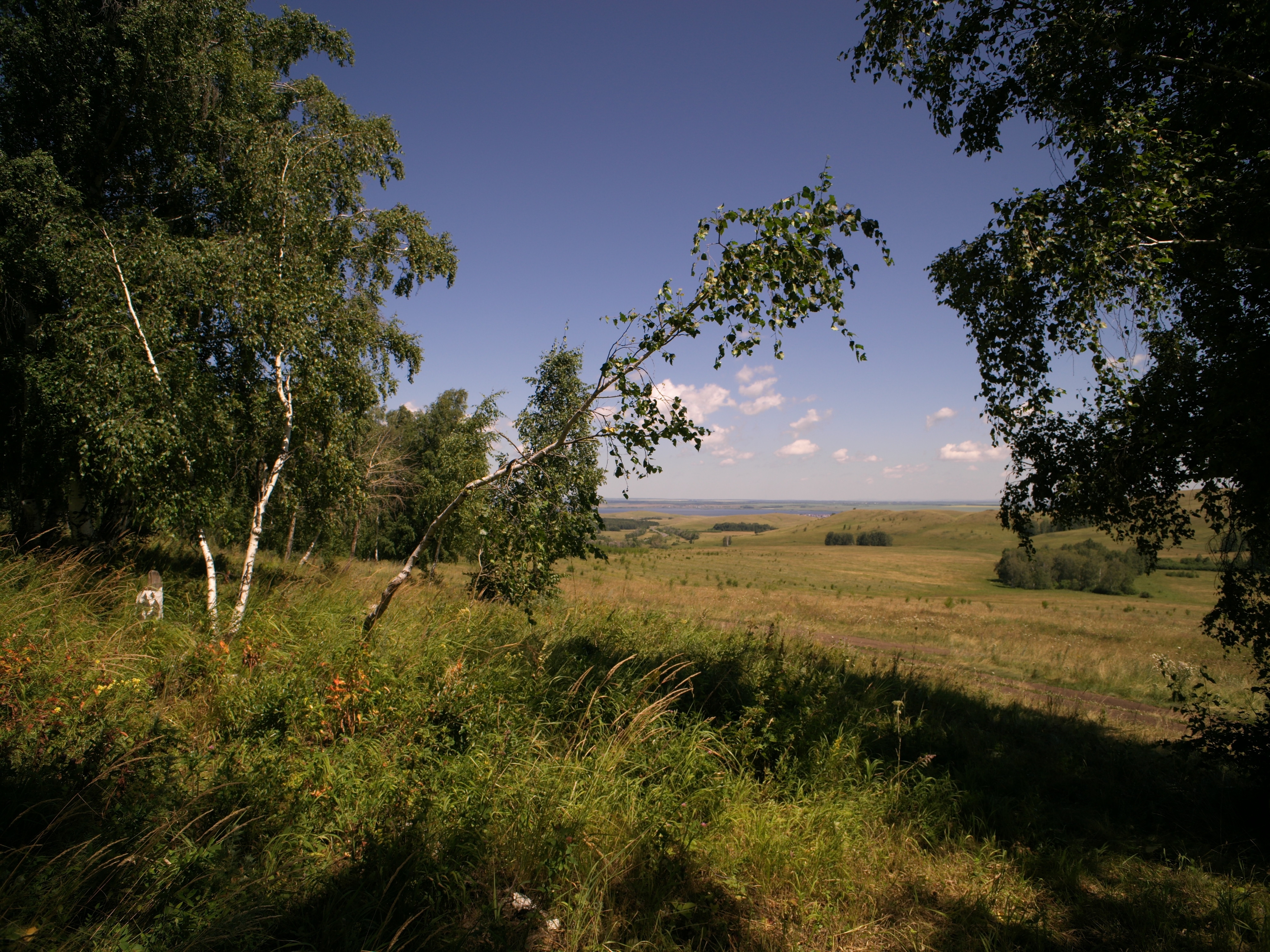 , Шустиков Дмитрий