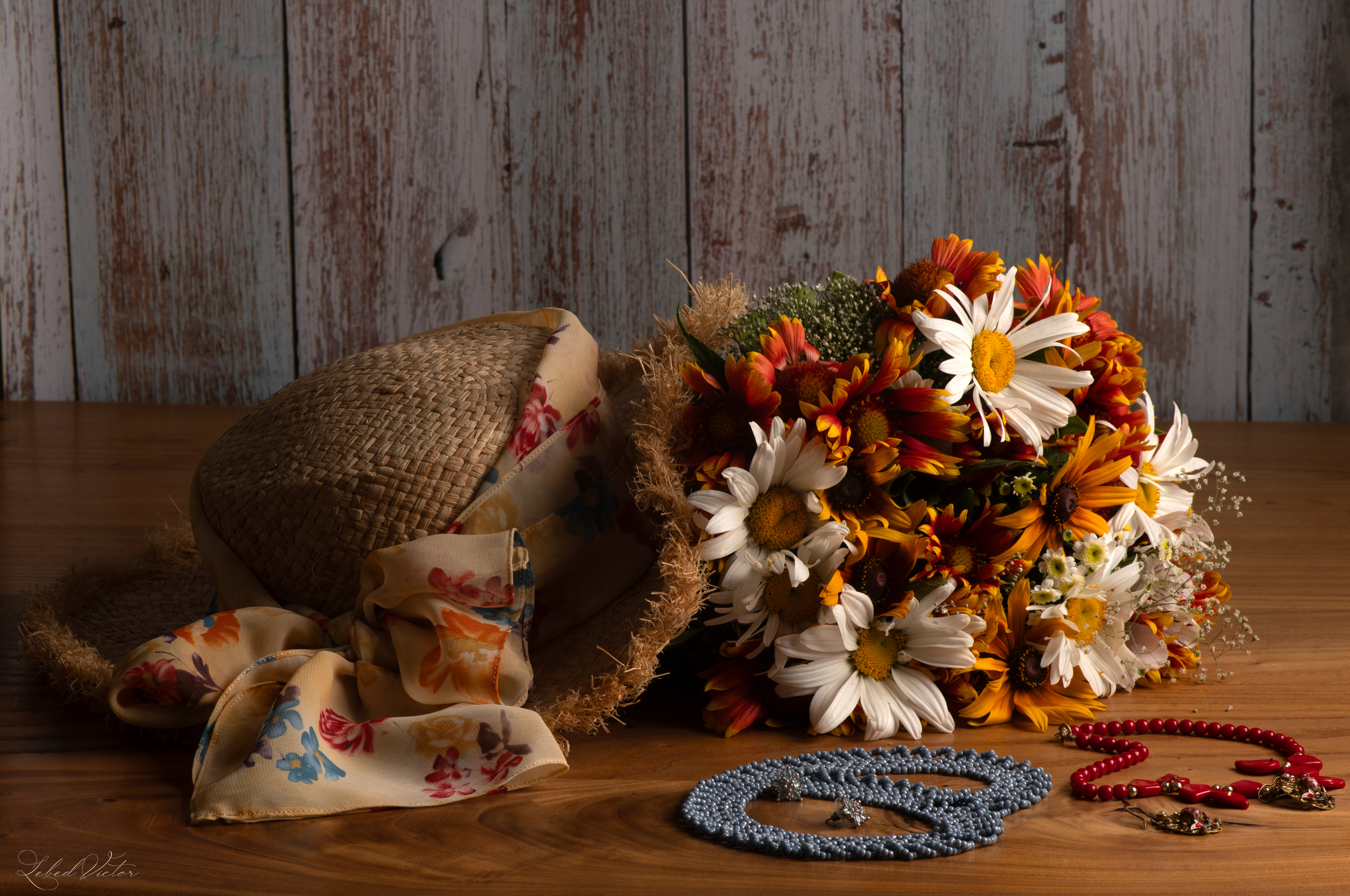 , Виктор Лебедь