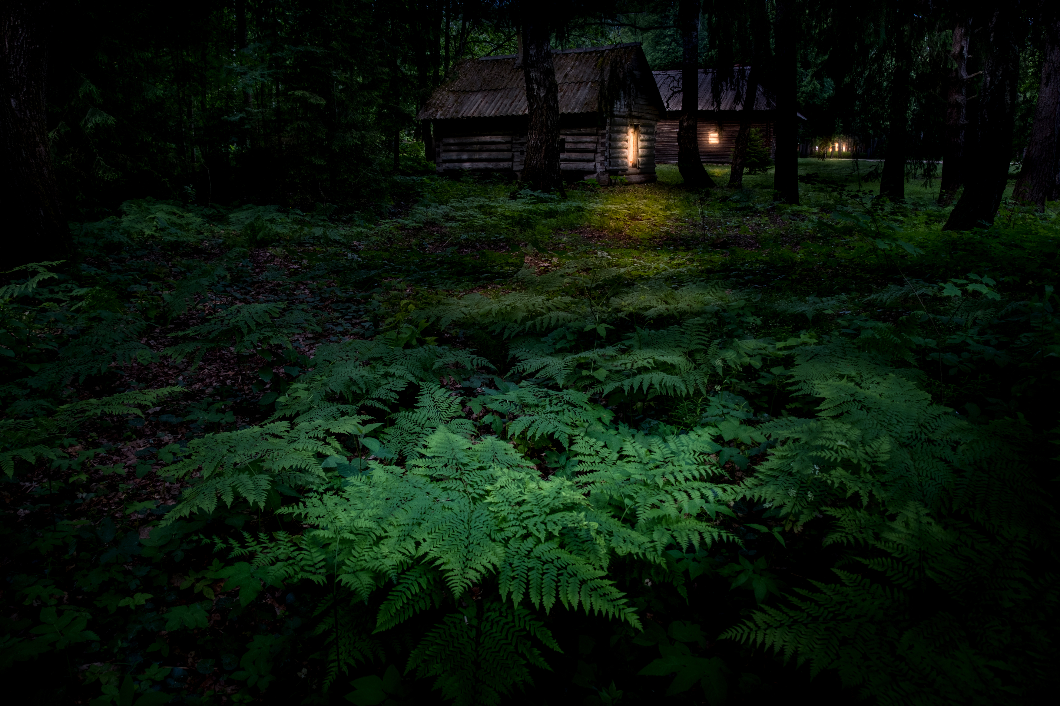 василёво, тверская область, торжок, нд, by night, night, когда не спится, ночное фото, village, деревня, русская деревня, ночь, Демкина Надежда