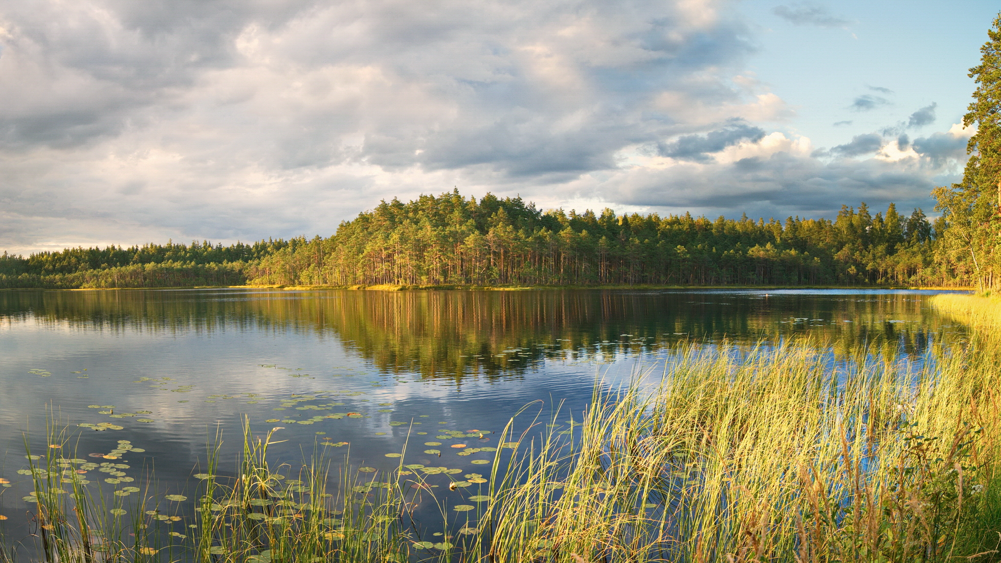 лес, озеро, игра света, беларусь, Виктор Гурков