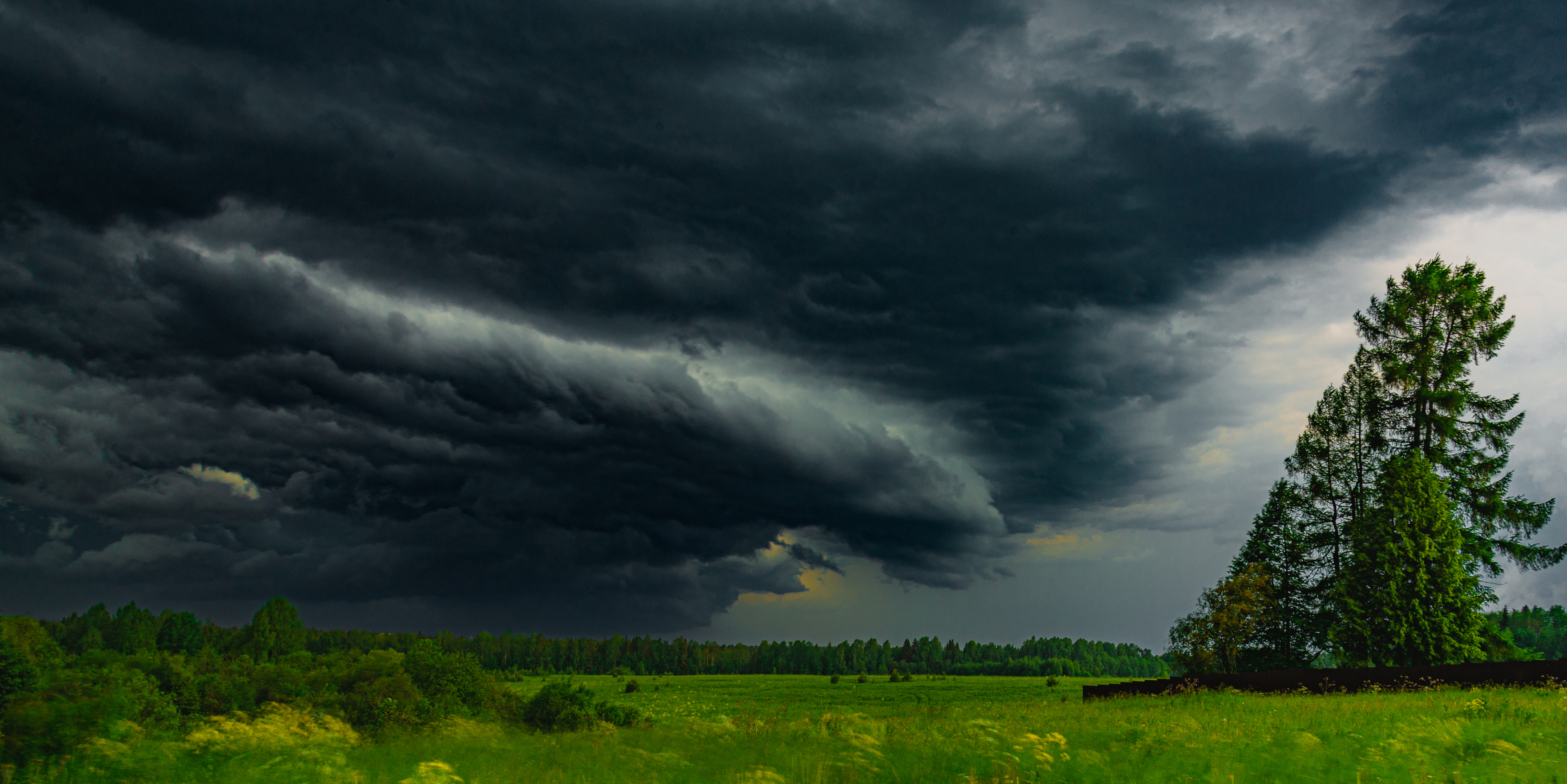 , Кокорин Алексей