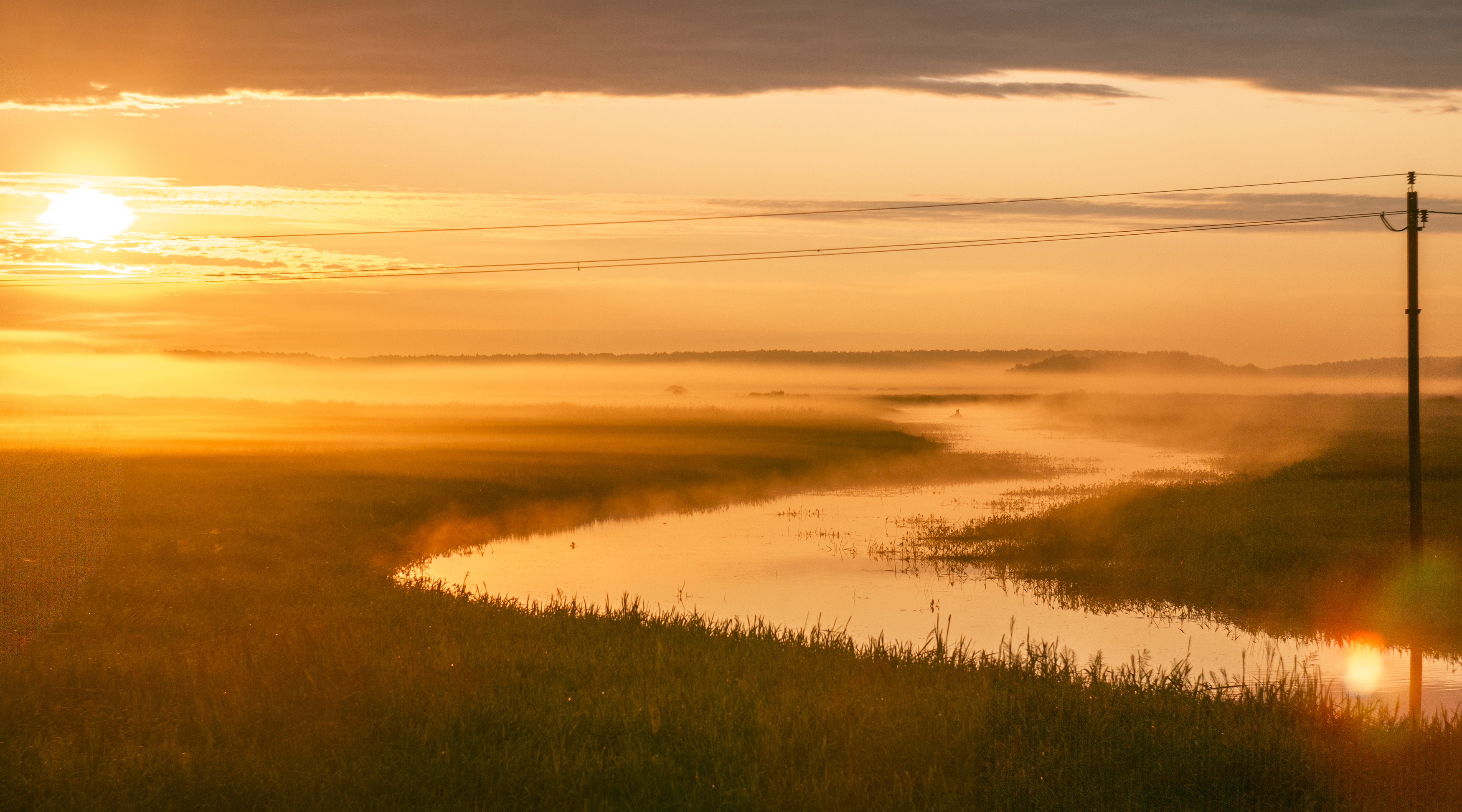 , Комарова Вера