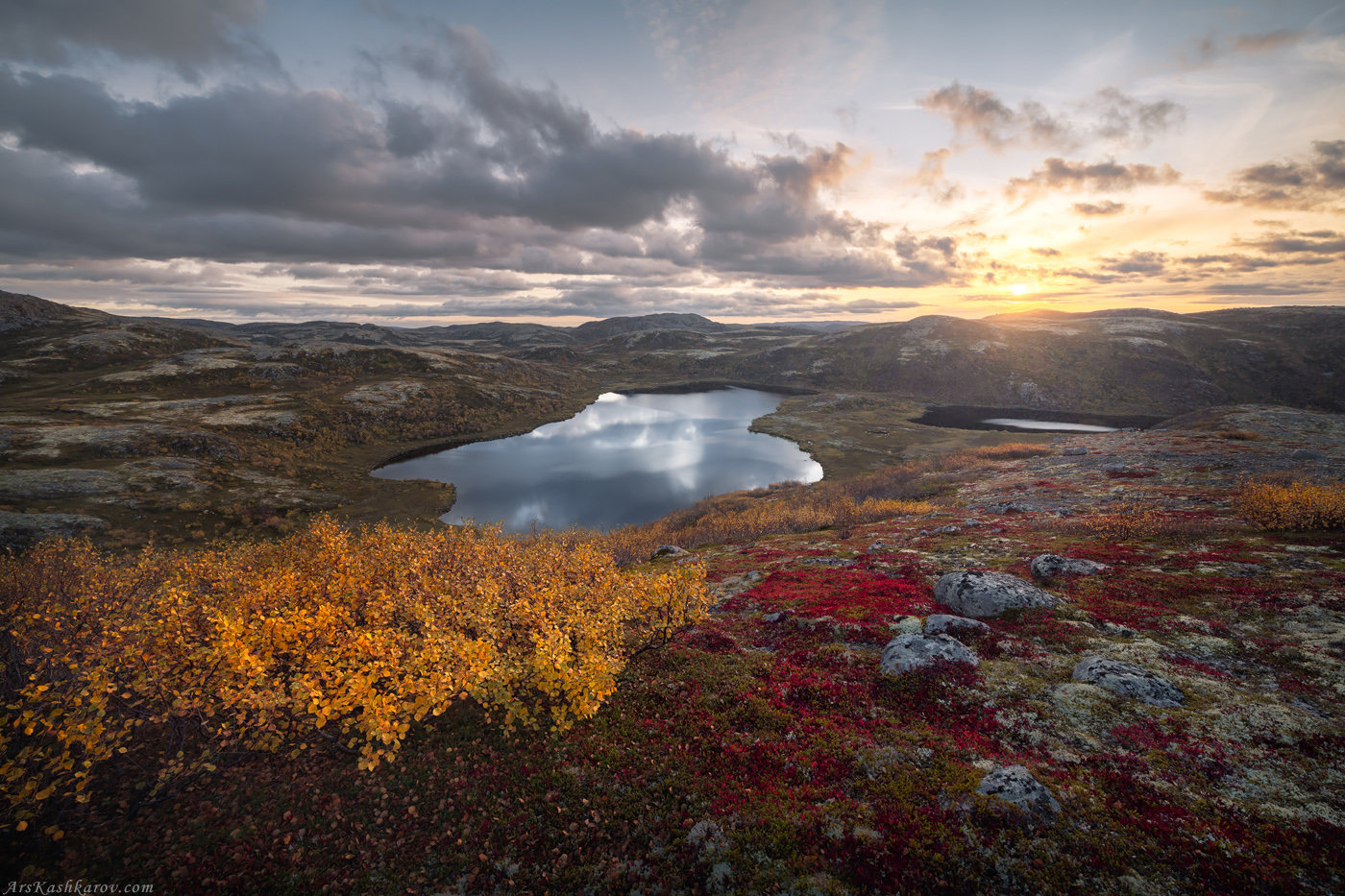 тундра, кольский, мурманская область, териберка, осень в тундре, Арсений Кашкаров