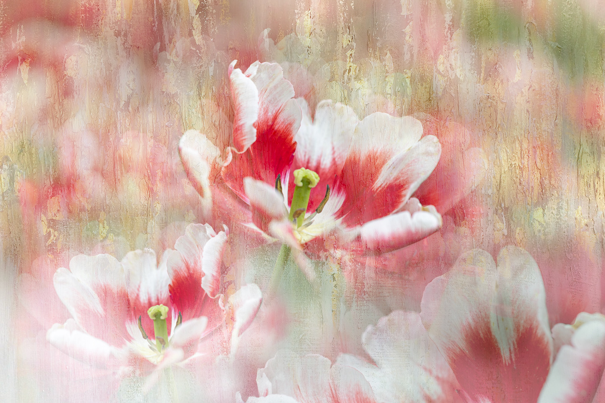 close-up, Копцев Игорь