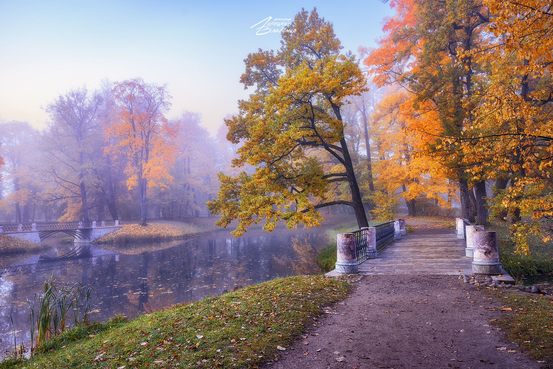 санкт-петербург, осень, парки, александровский парк, утро, Липецких Владимир