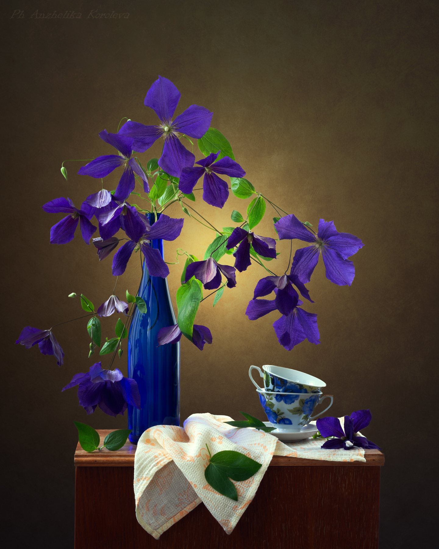 , Анжелика Королева