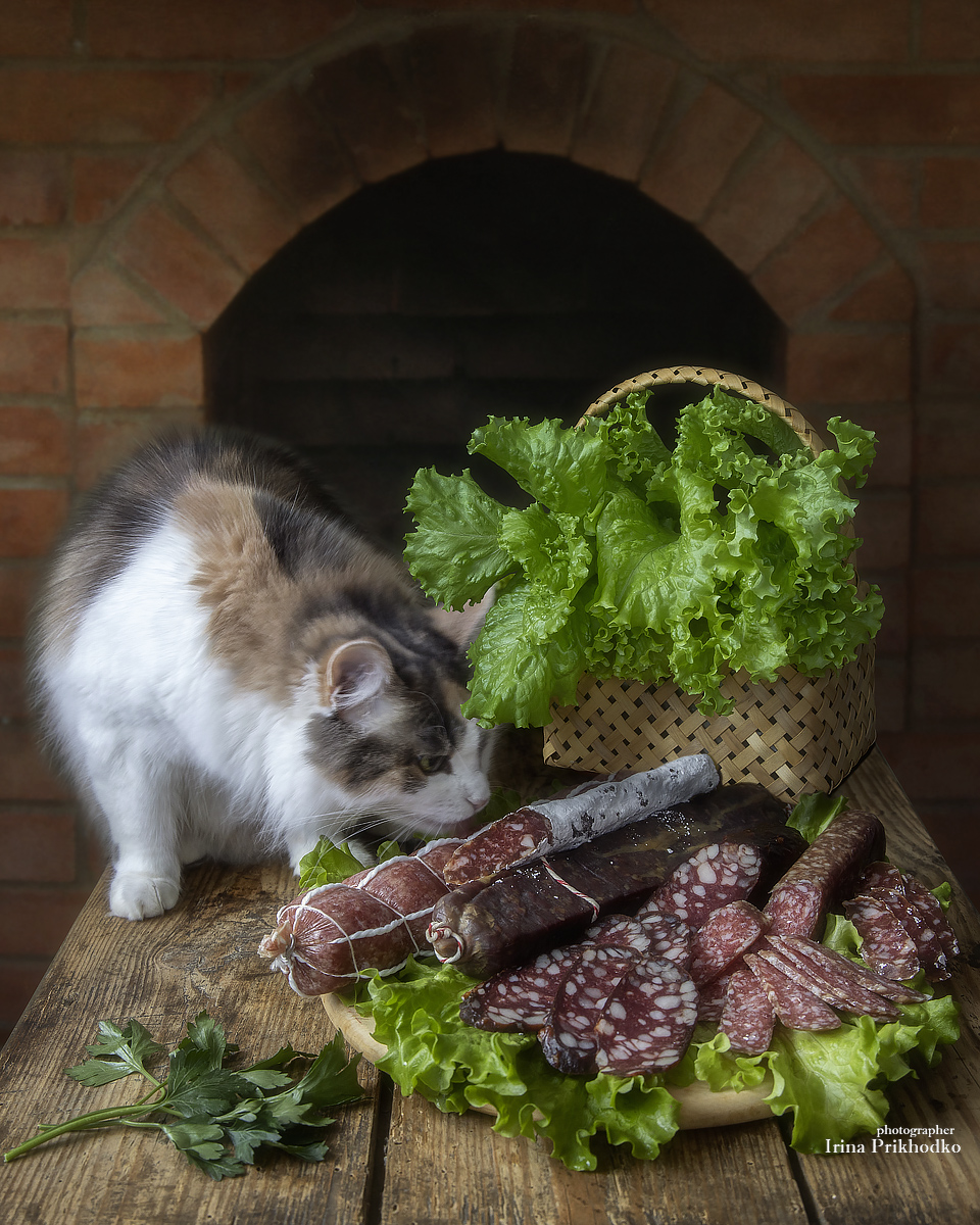 натюрморт, еда, овощи, кошка, Приходько Ирина