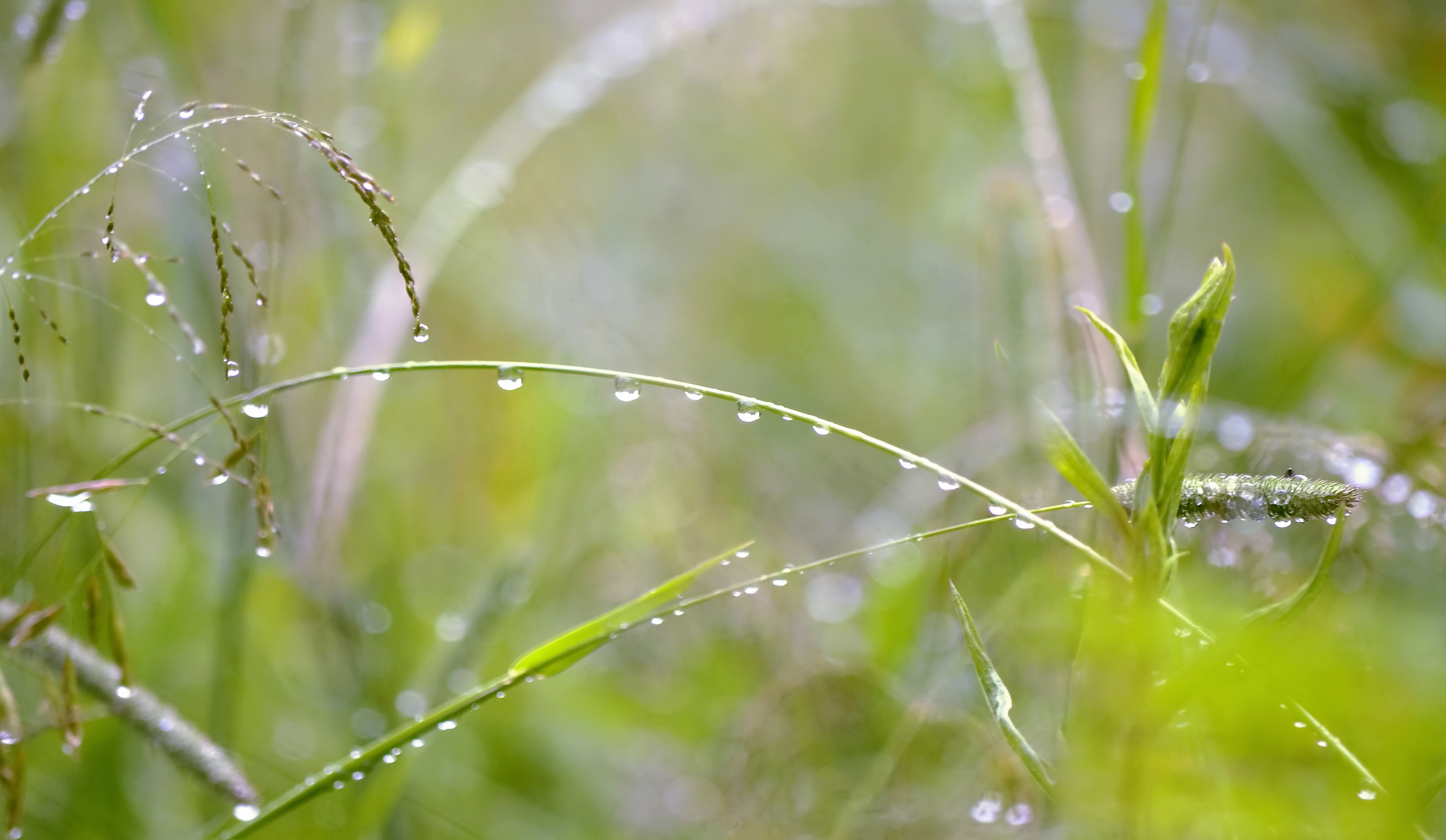 , Сергей Клапишевский
