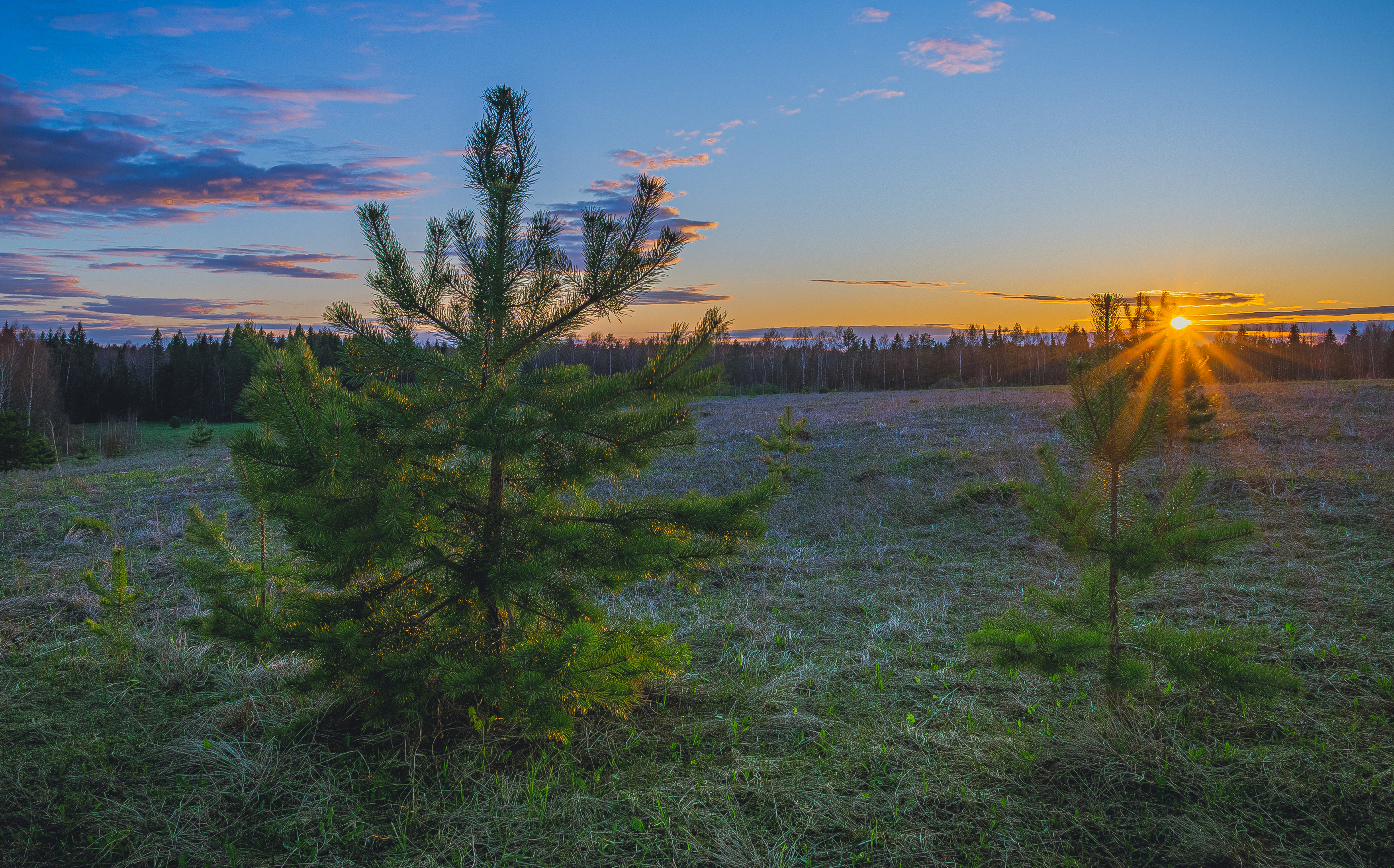 , Кокорин Алексей