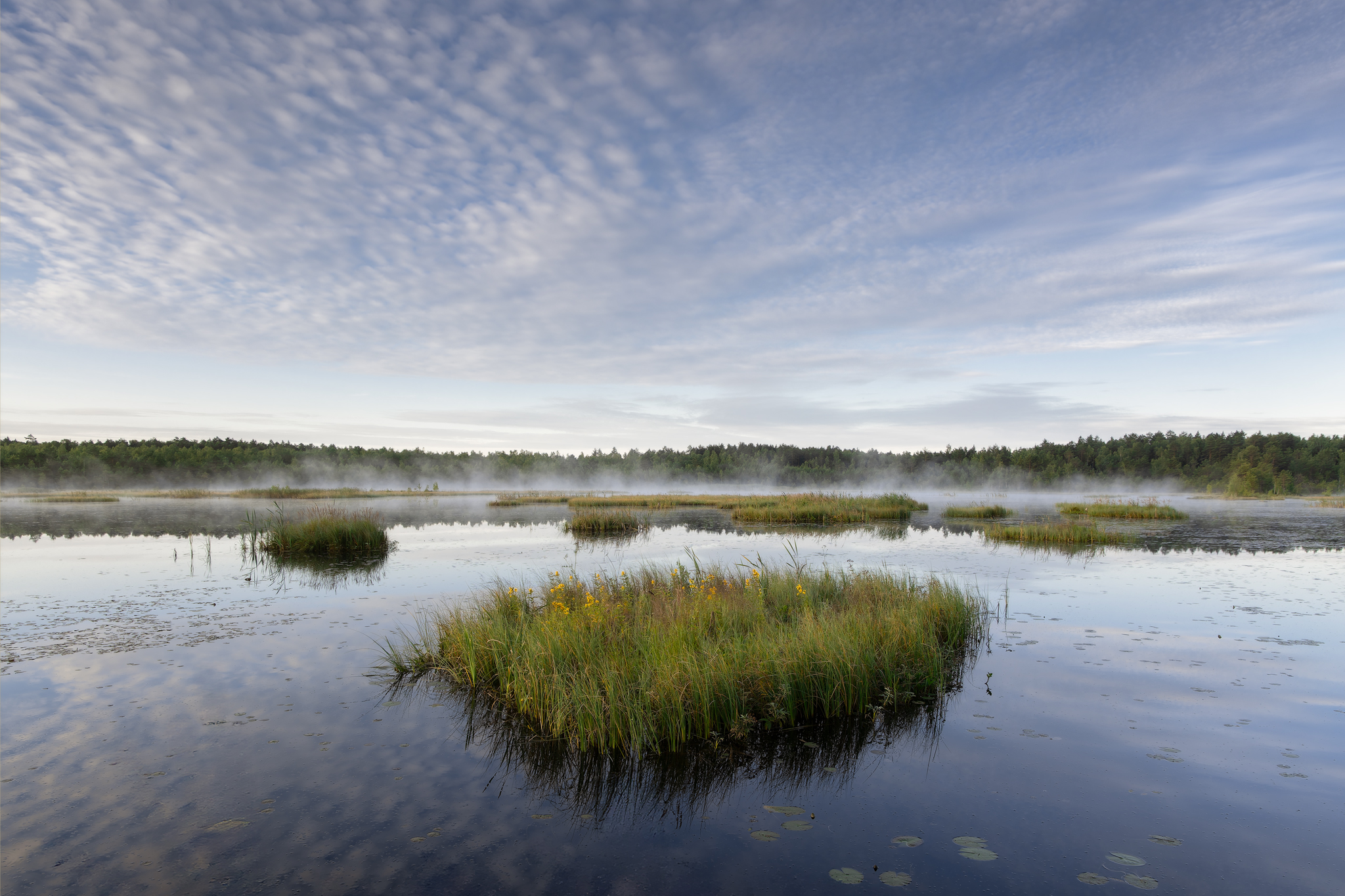 , Загруев Михаил