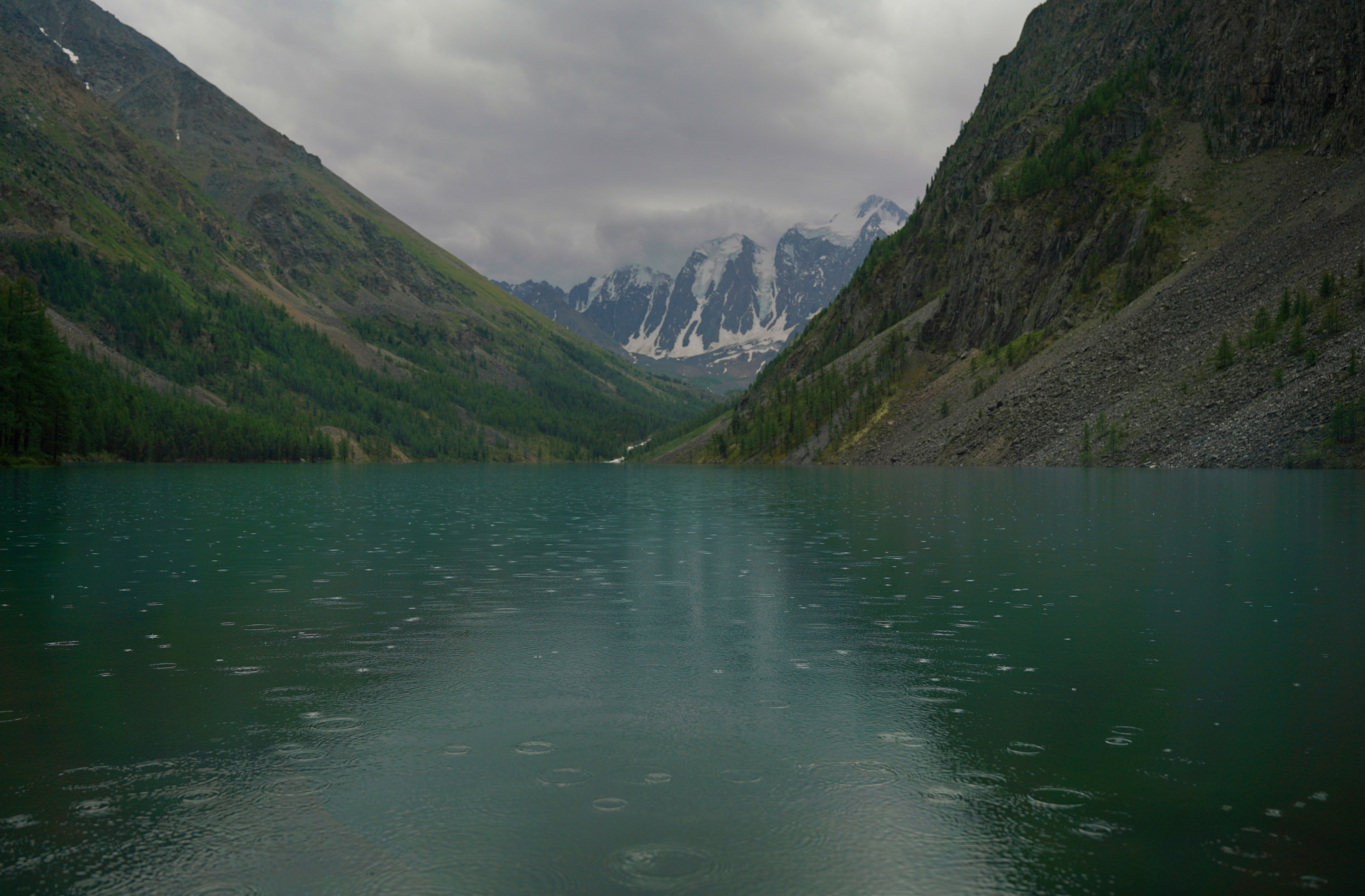 ,  Сергей Андреевич
