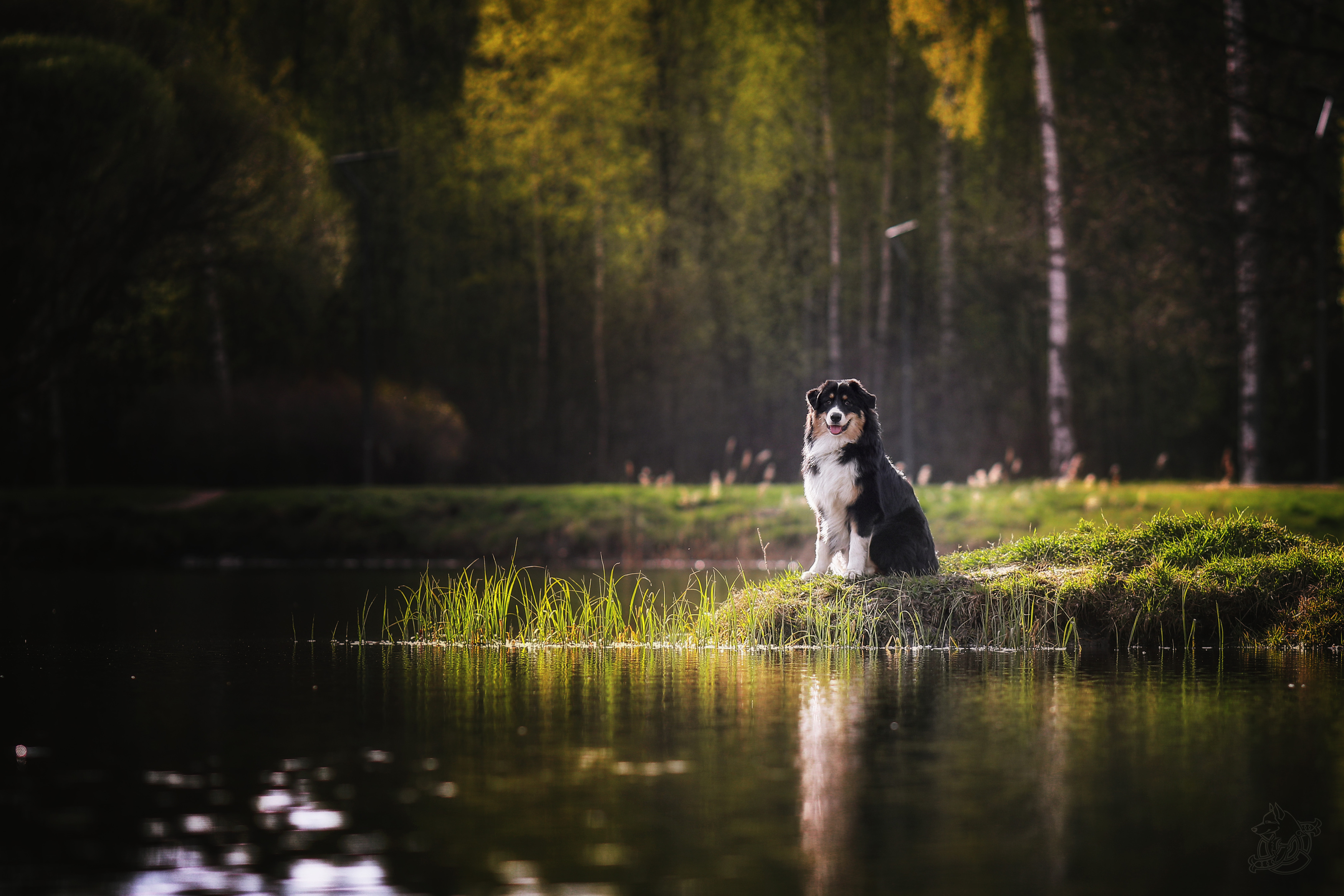 , Андрей Ершов