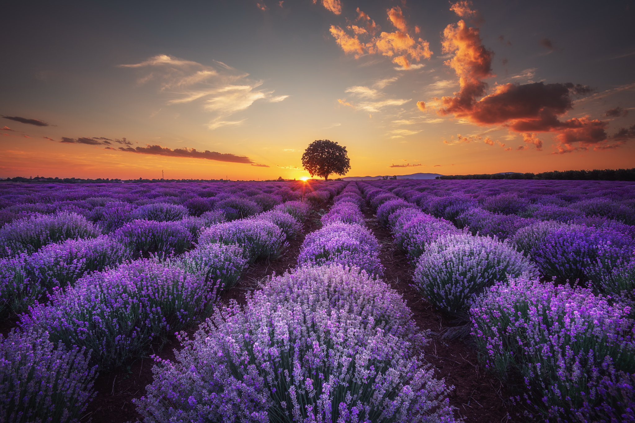 , Mariyana Atanasova - Lucero