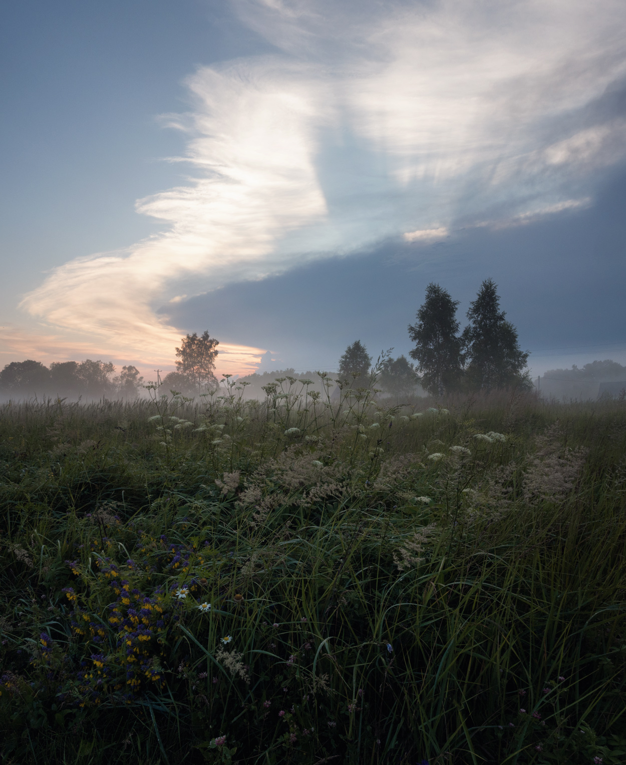 лес, свет, вечер, природа,, Баранов Олег