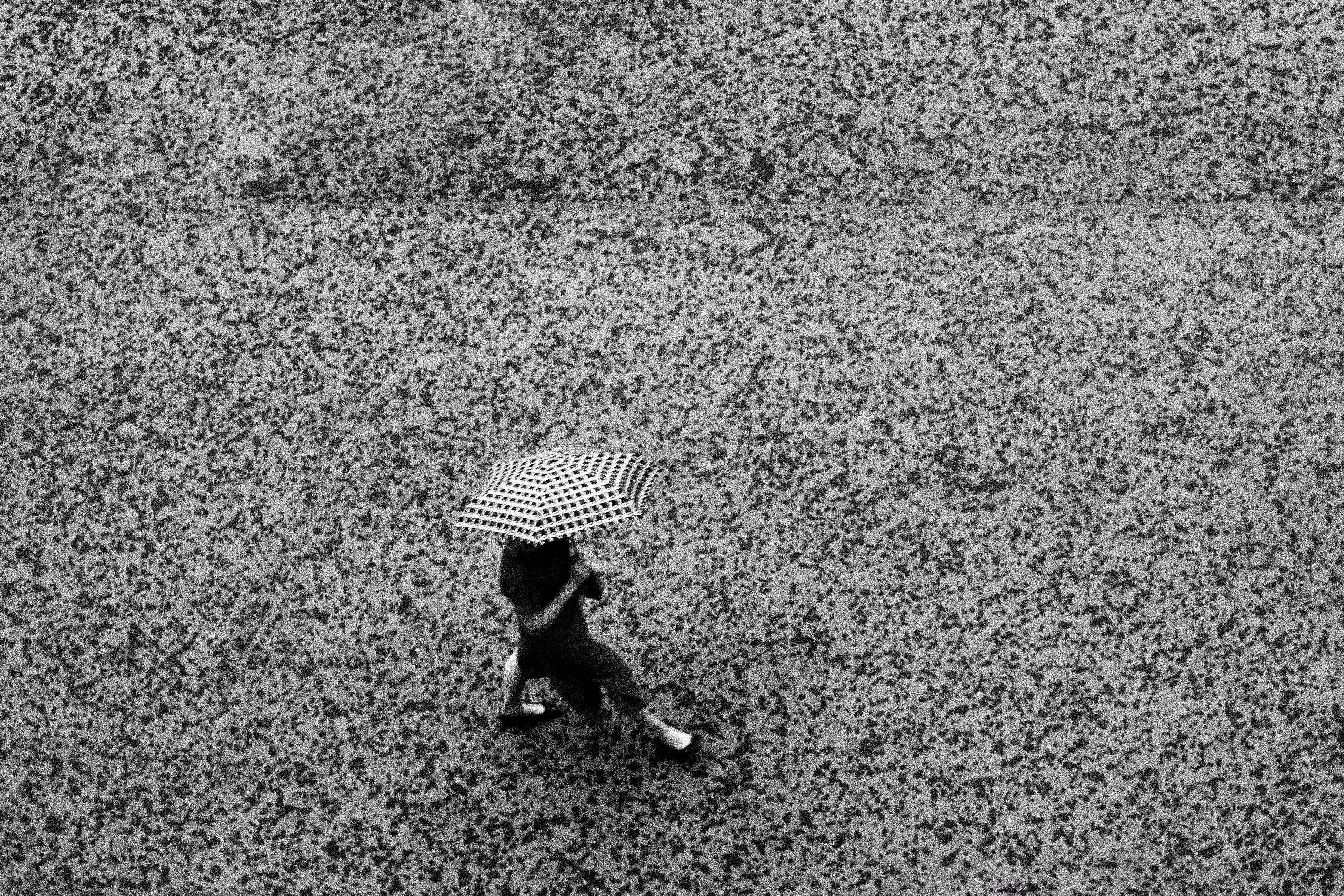 чб, дождь, под зонтом, ливень, черно белое, Мартыненко Дмитрий