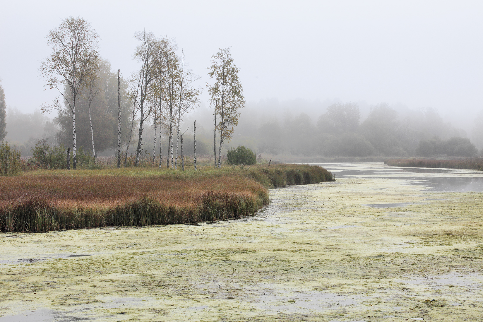 ,  александр михайлов