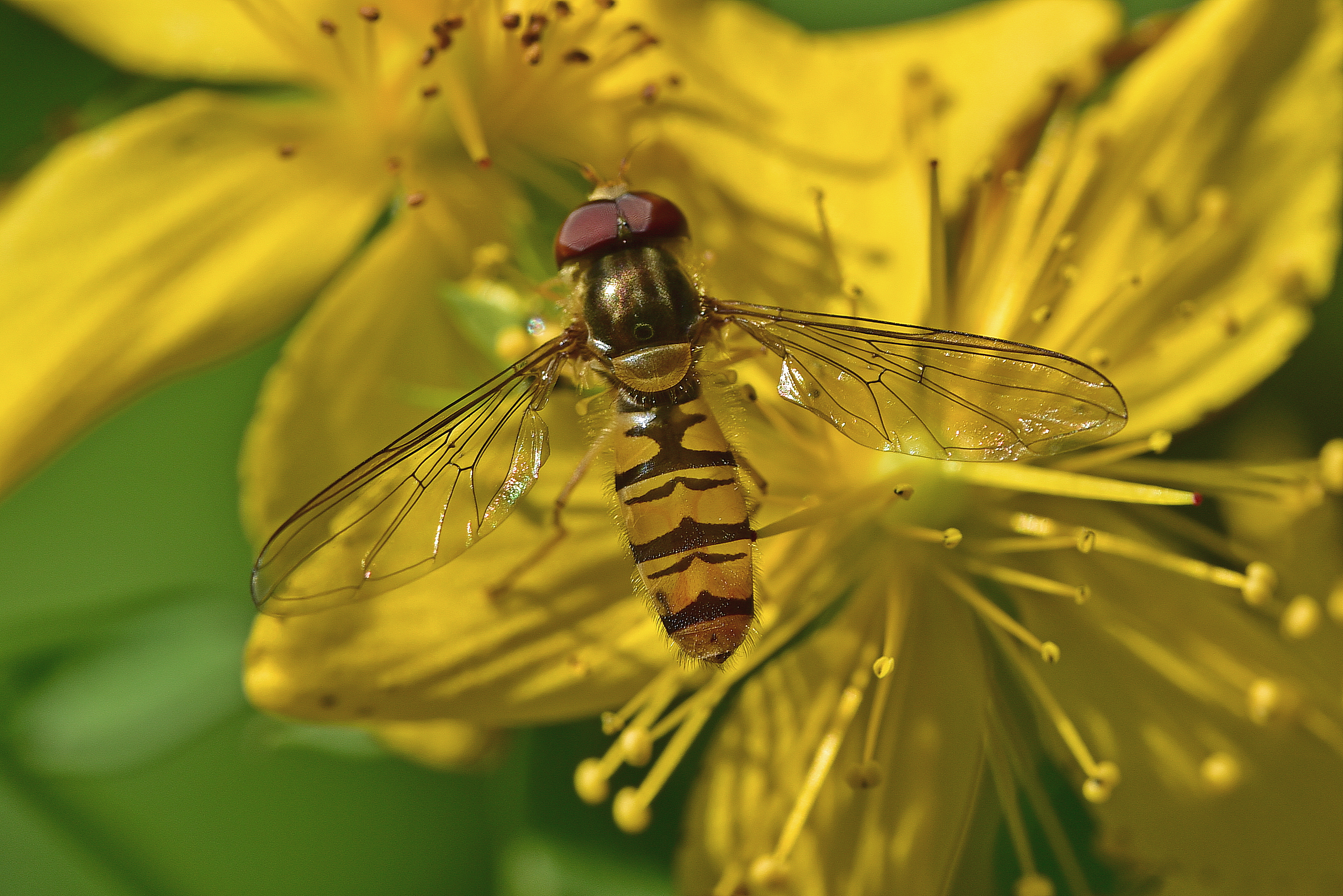 , Корнейчук Игорь