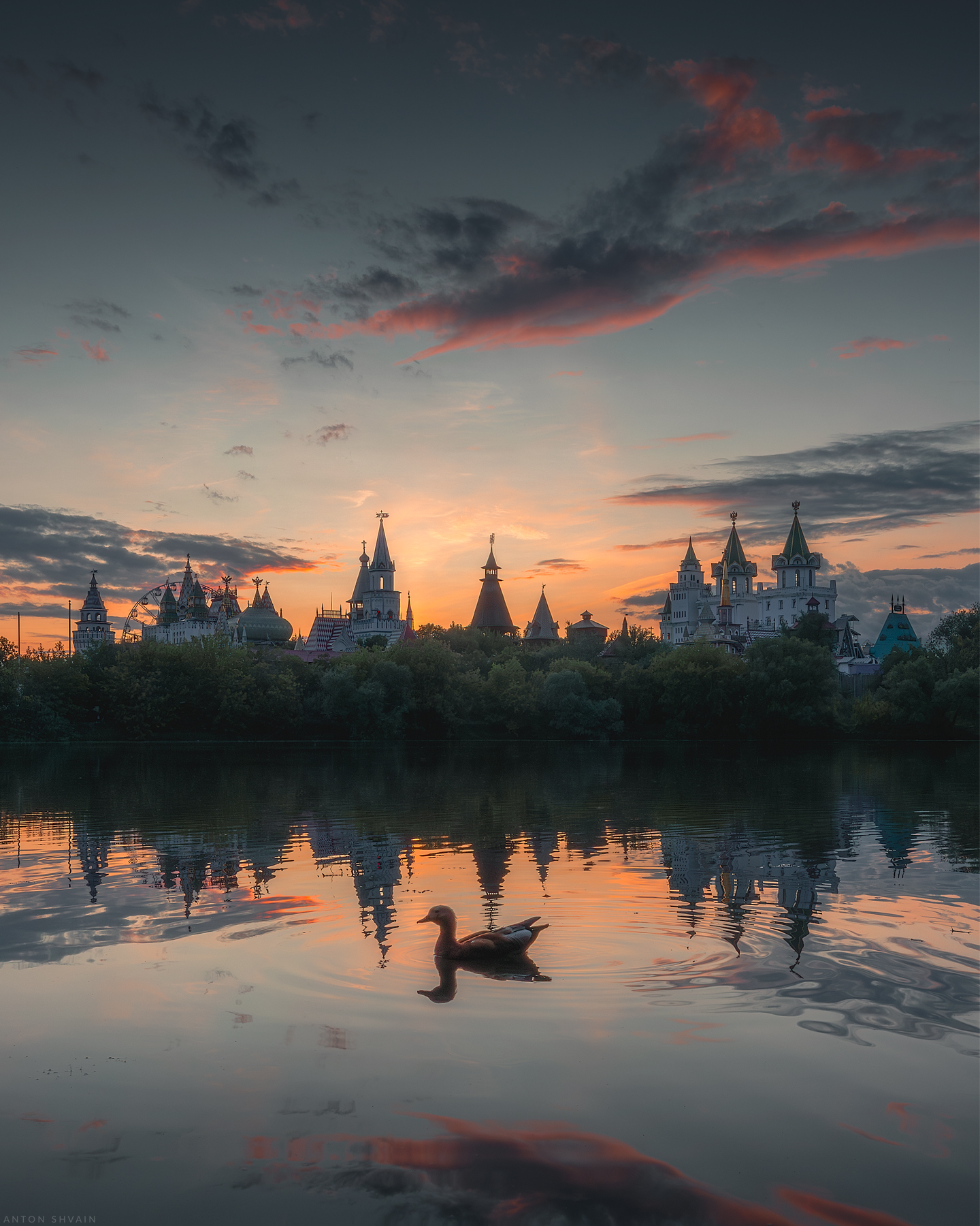 , Антон Шваин