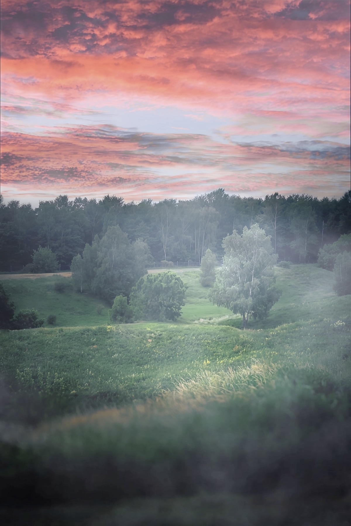 пейзаж, landscape, nature, природа, лето, summer, туман, Julia Kaissa