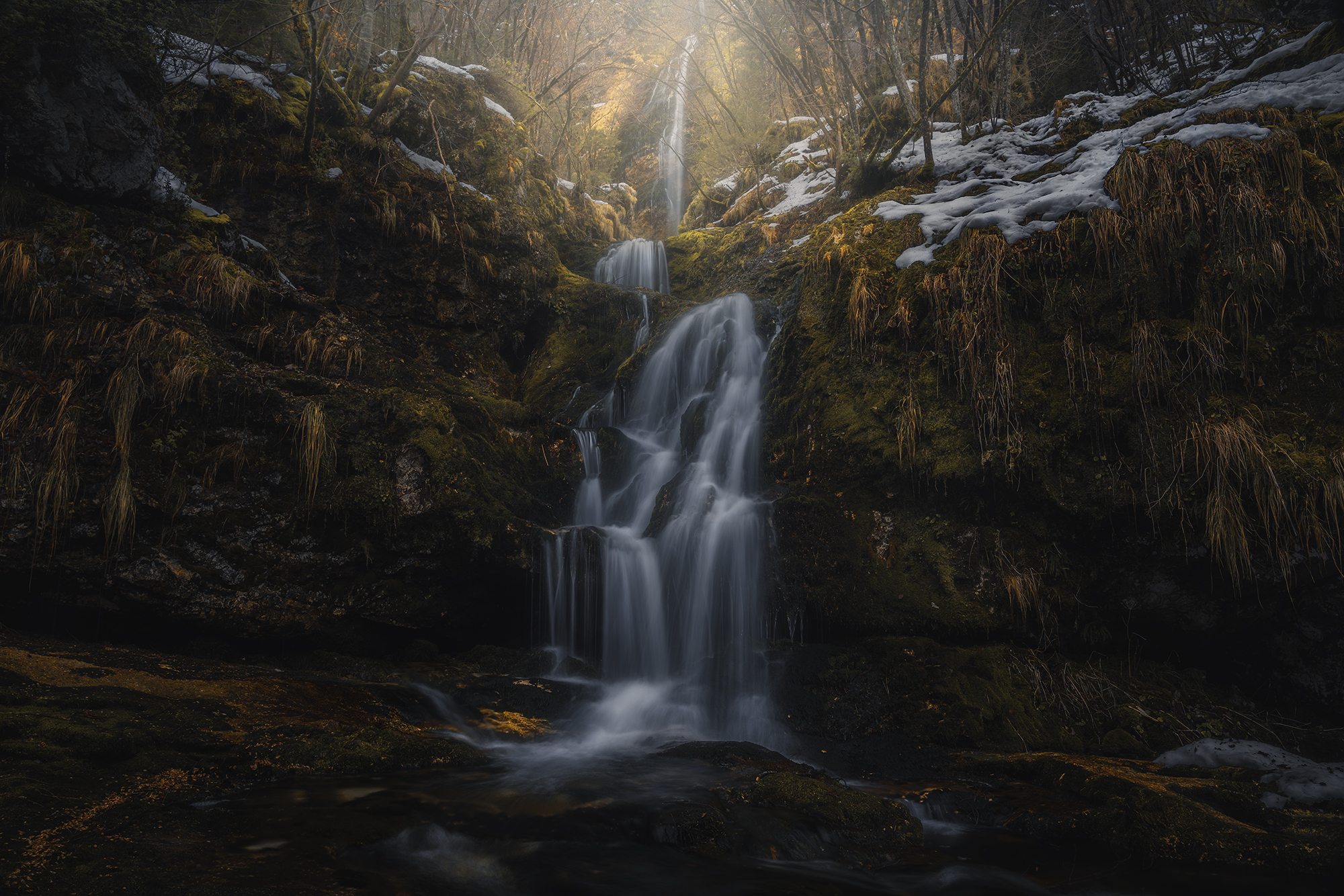 , de Franzoni Thomas