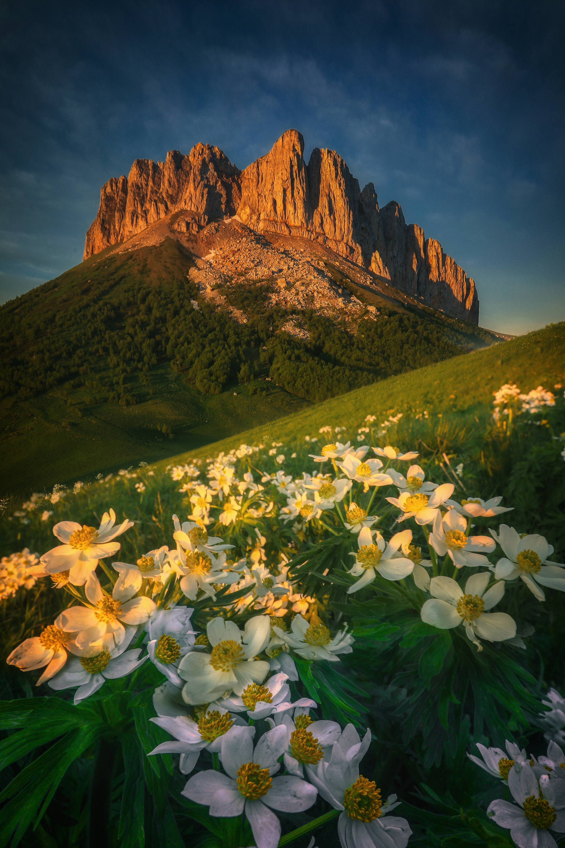 , Андрей Ершов