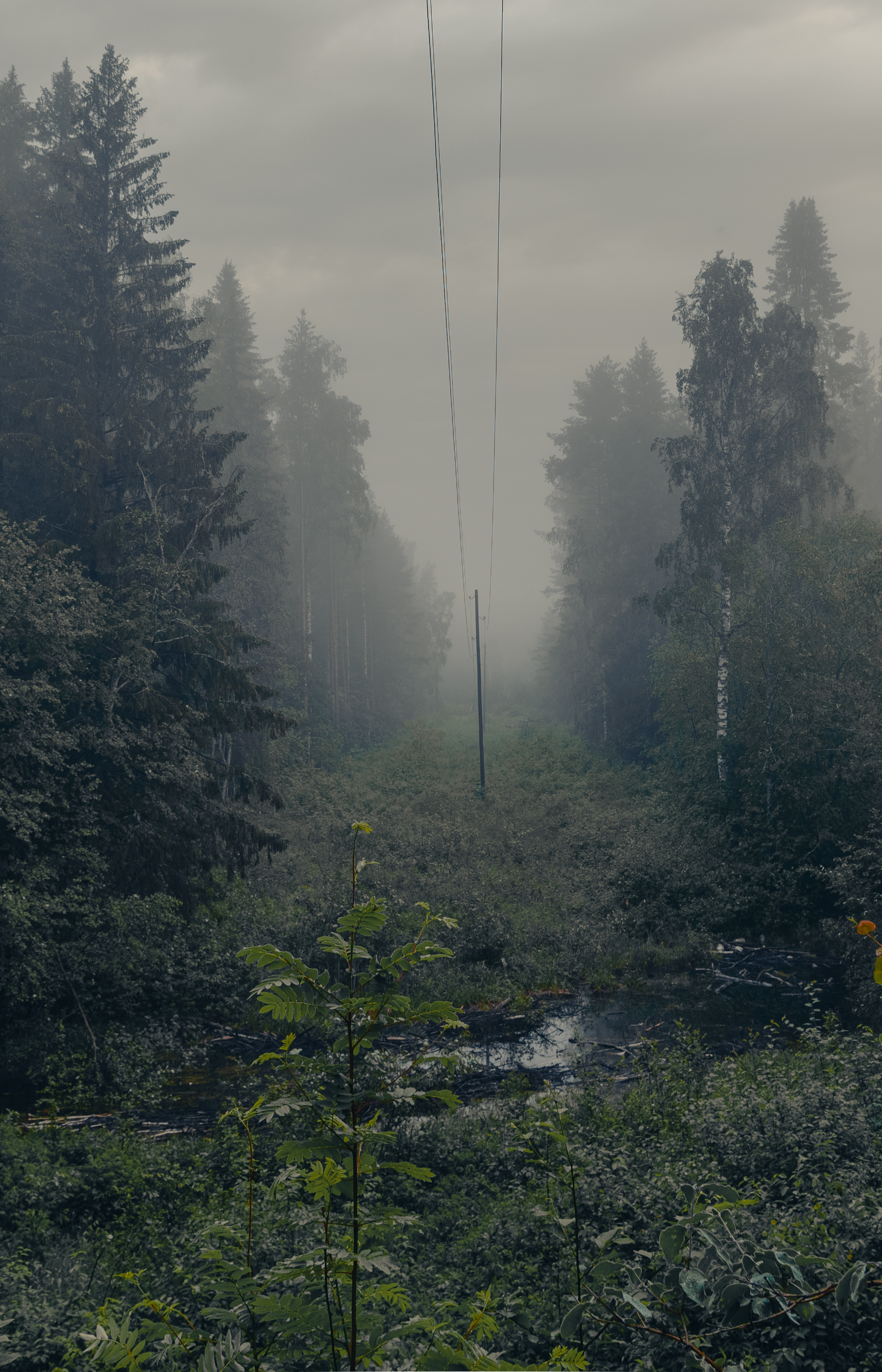 , Кокорин Алексей