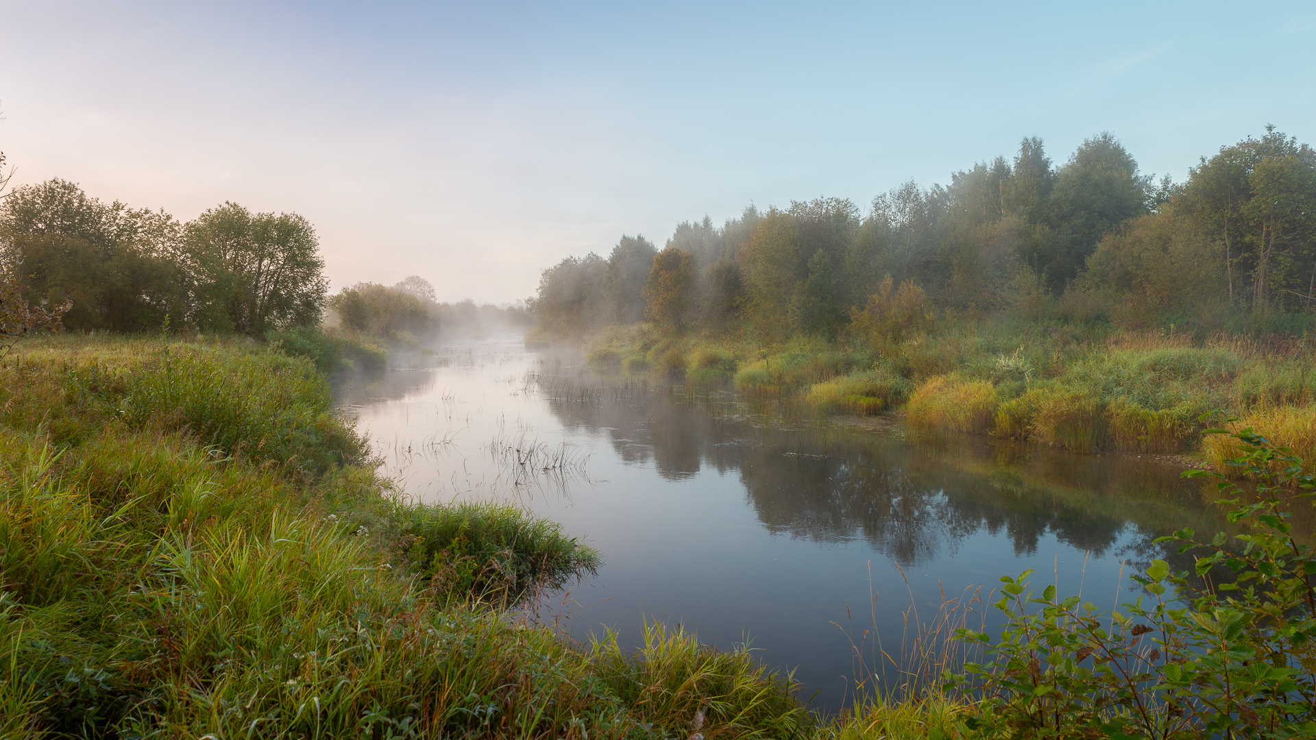 , Комарова Вера