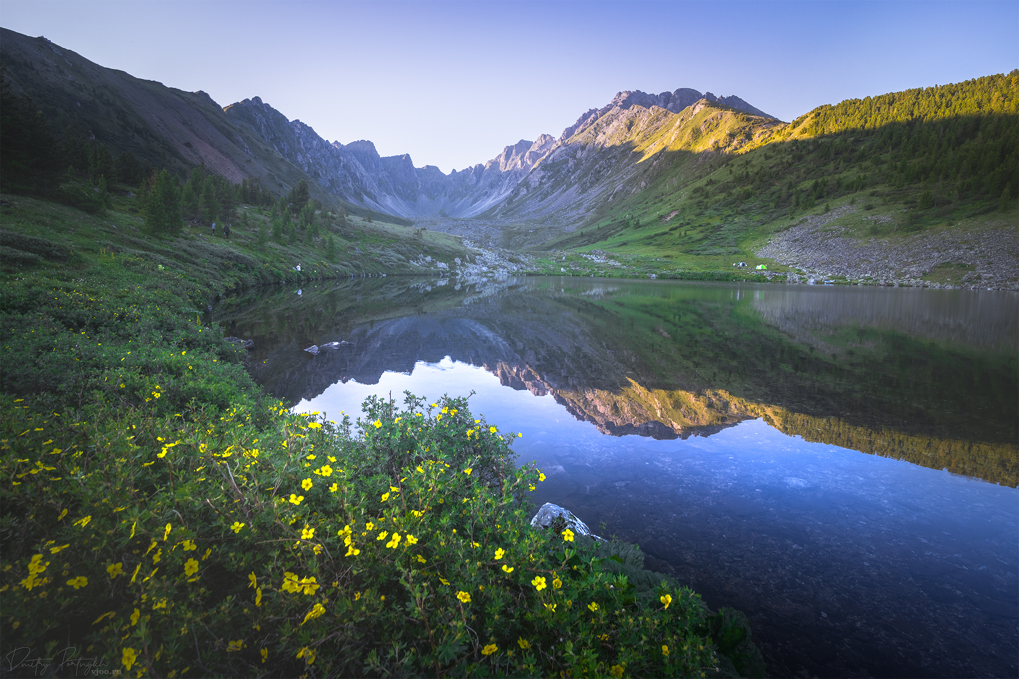 , Портных Дмитрий