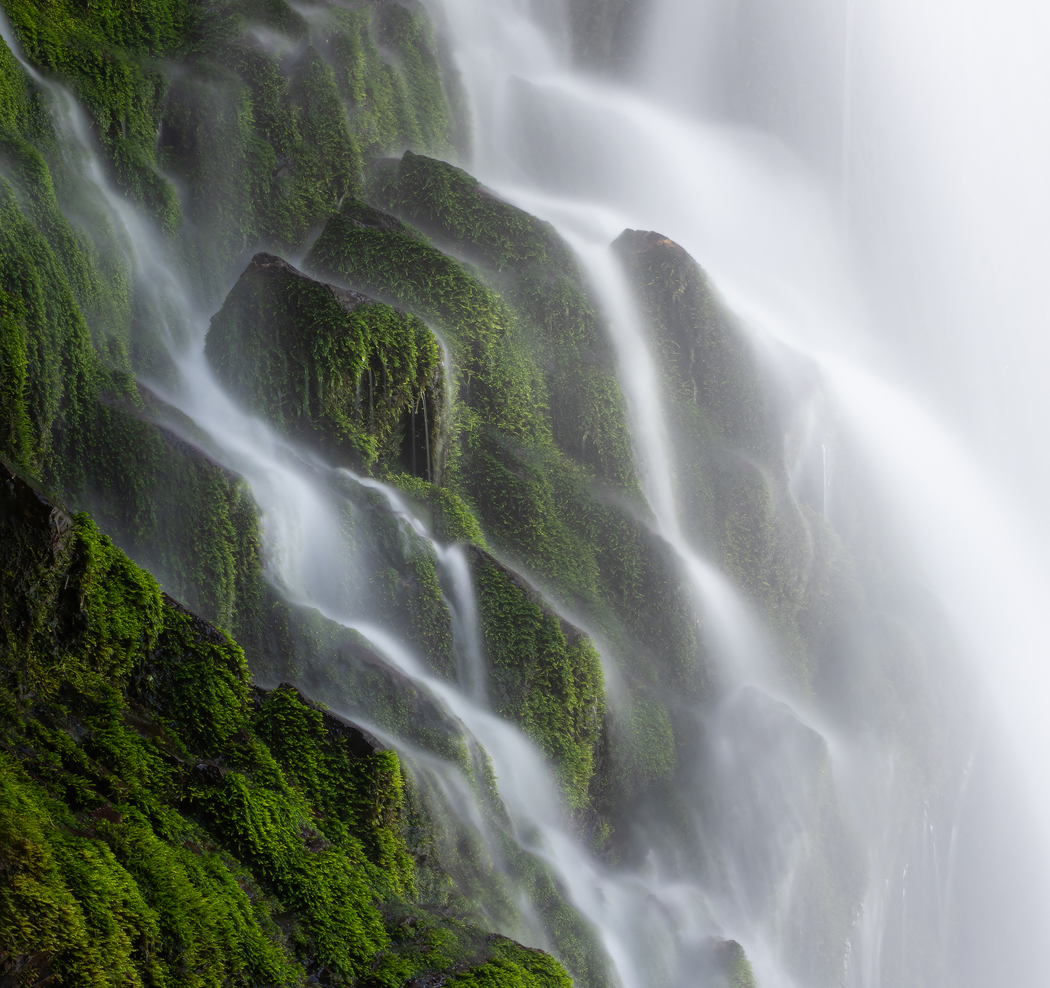 , Михаил Гапонов