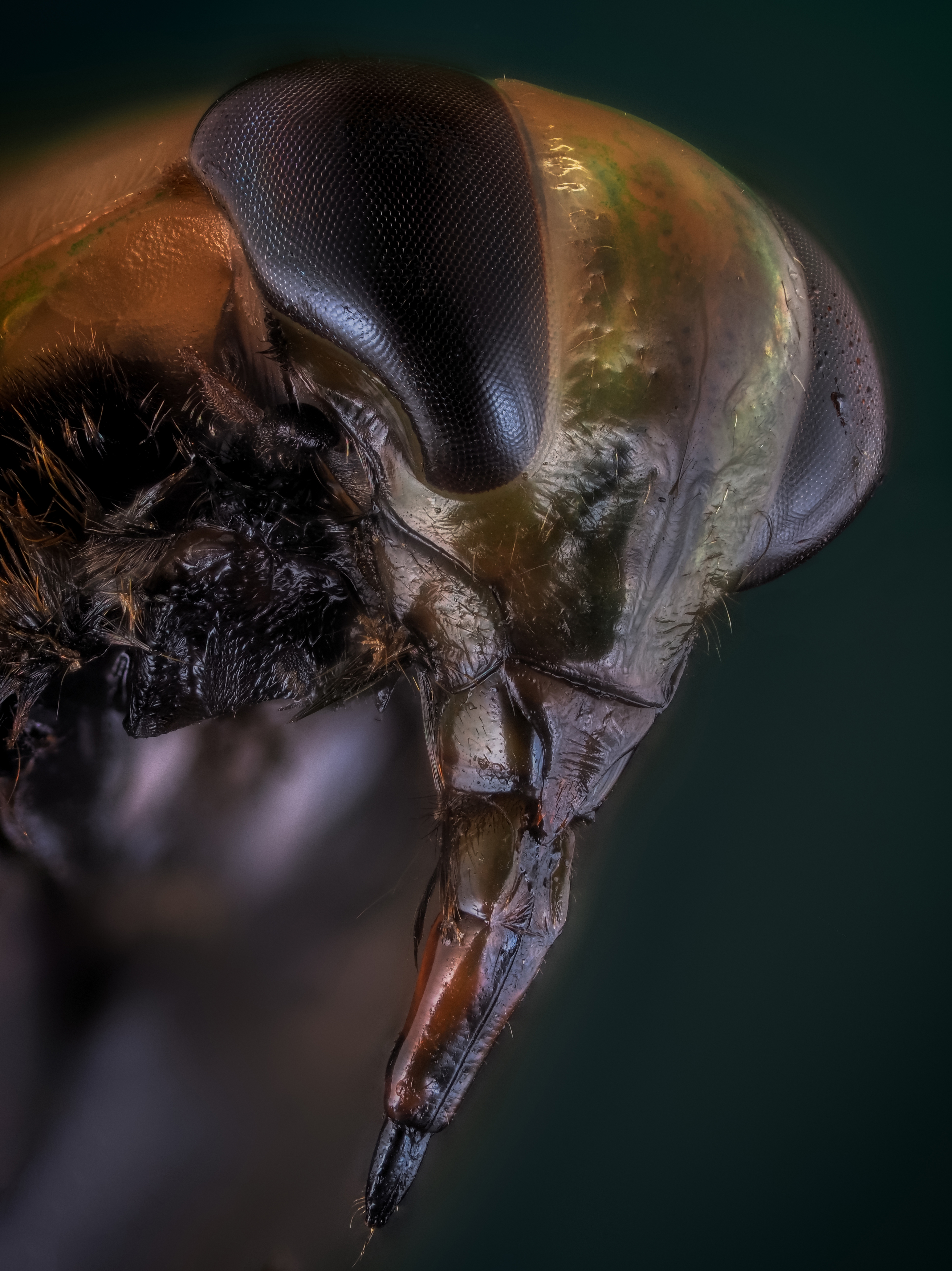 , Олег Савицкий