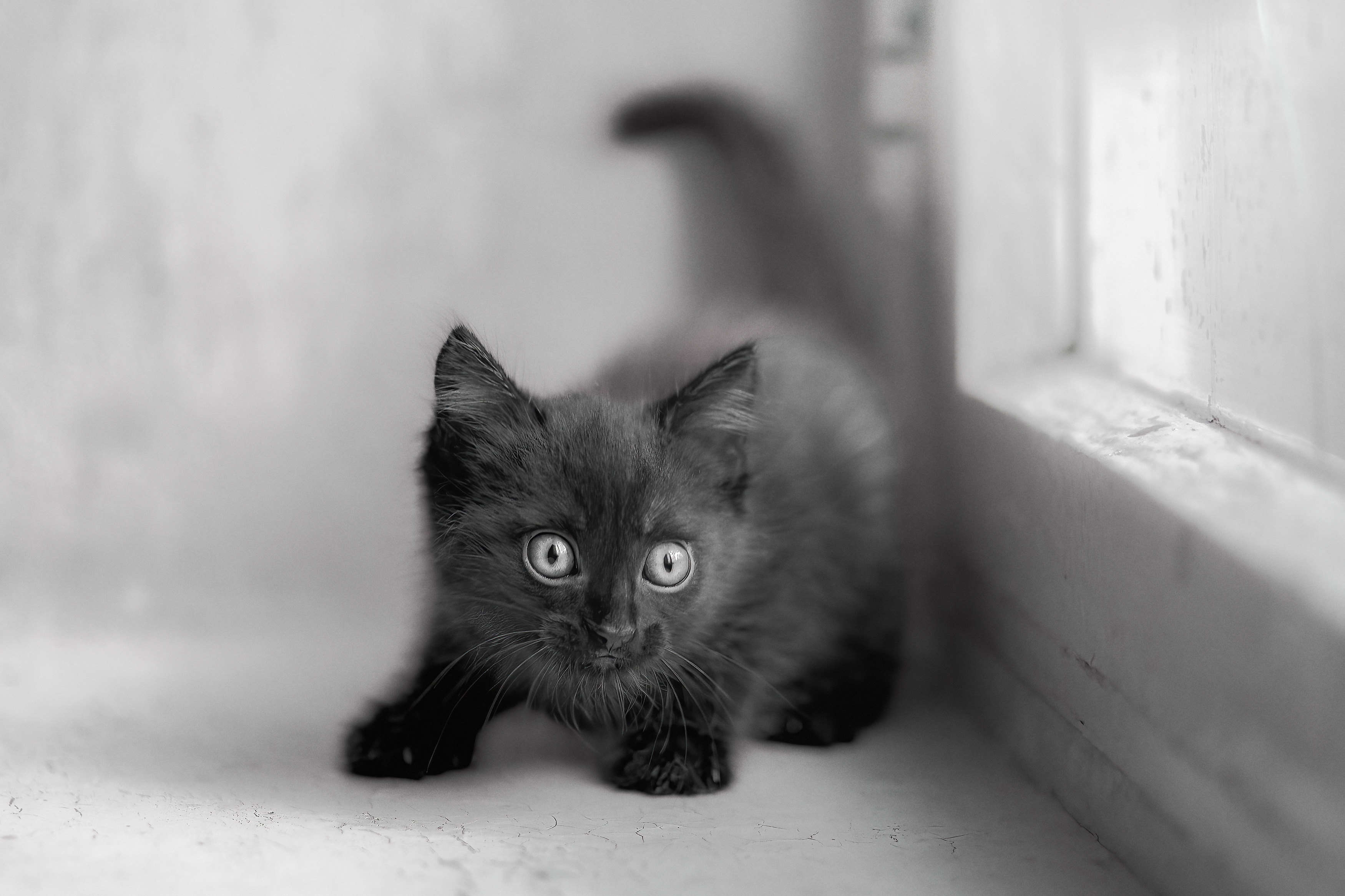 , Холудеев Виктор