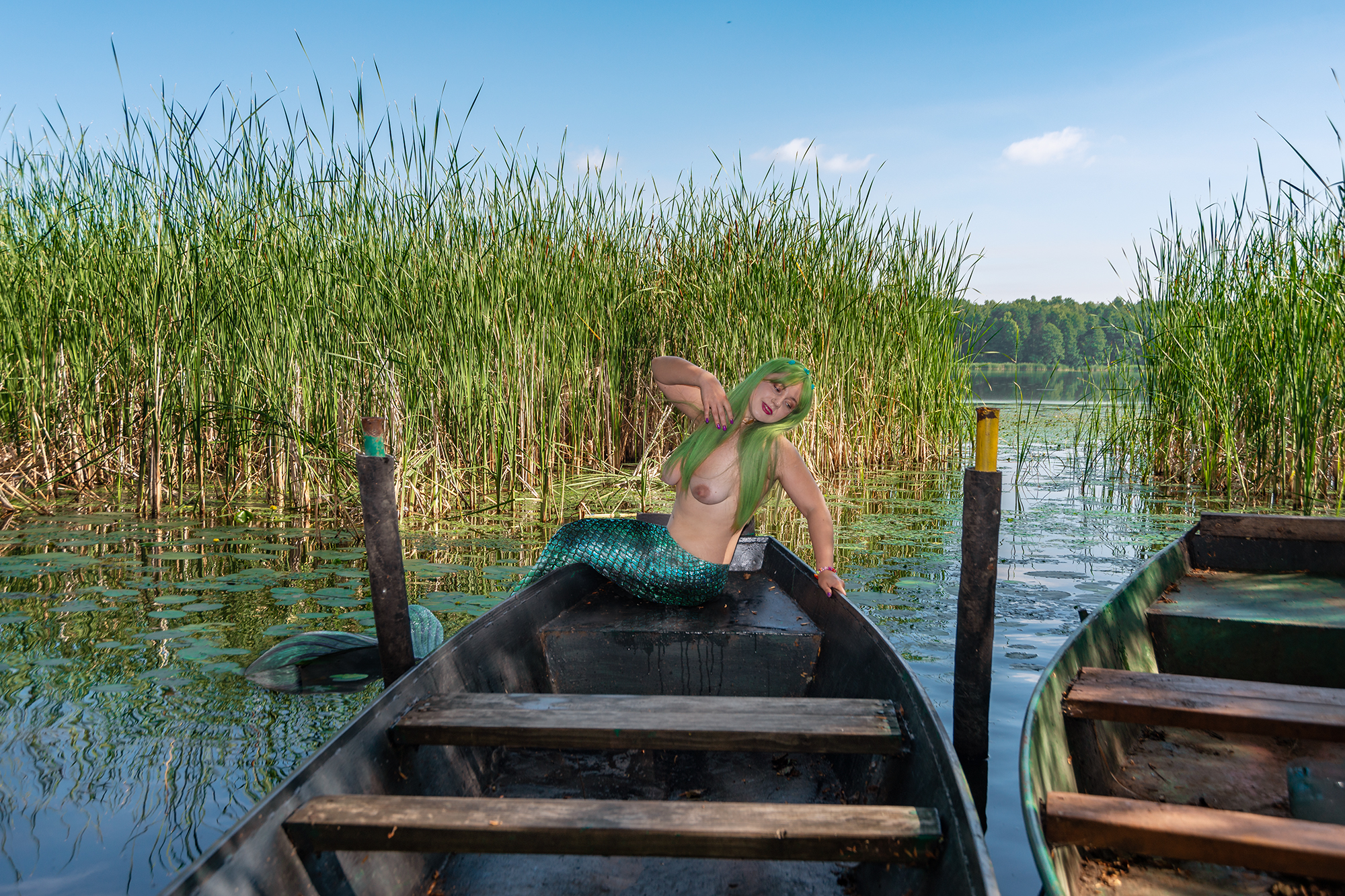 , Владимир Ноздрачев