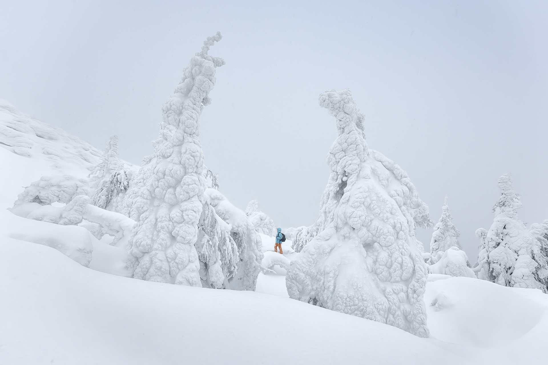 , Константин Маланин