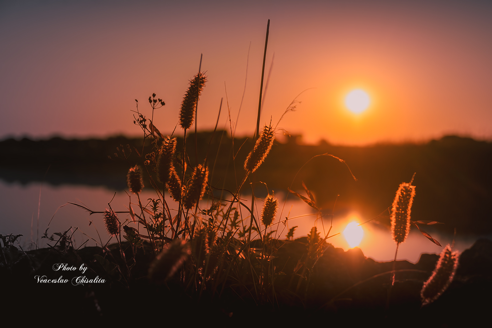 #макрофото #утромвдеревне #рассветнаямагия #зелень #живойсвет, Veaceslav Chisalita