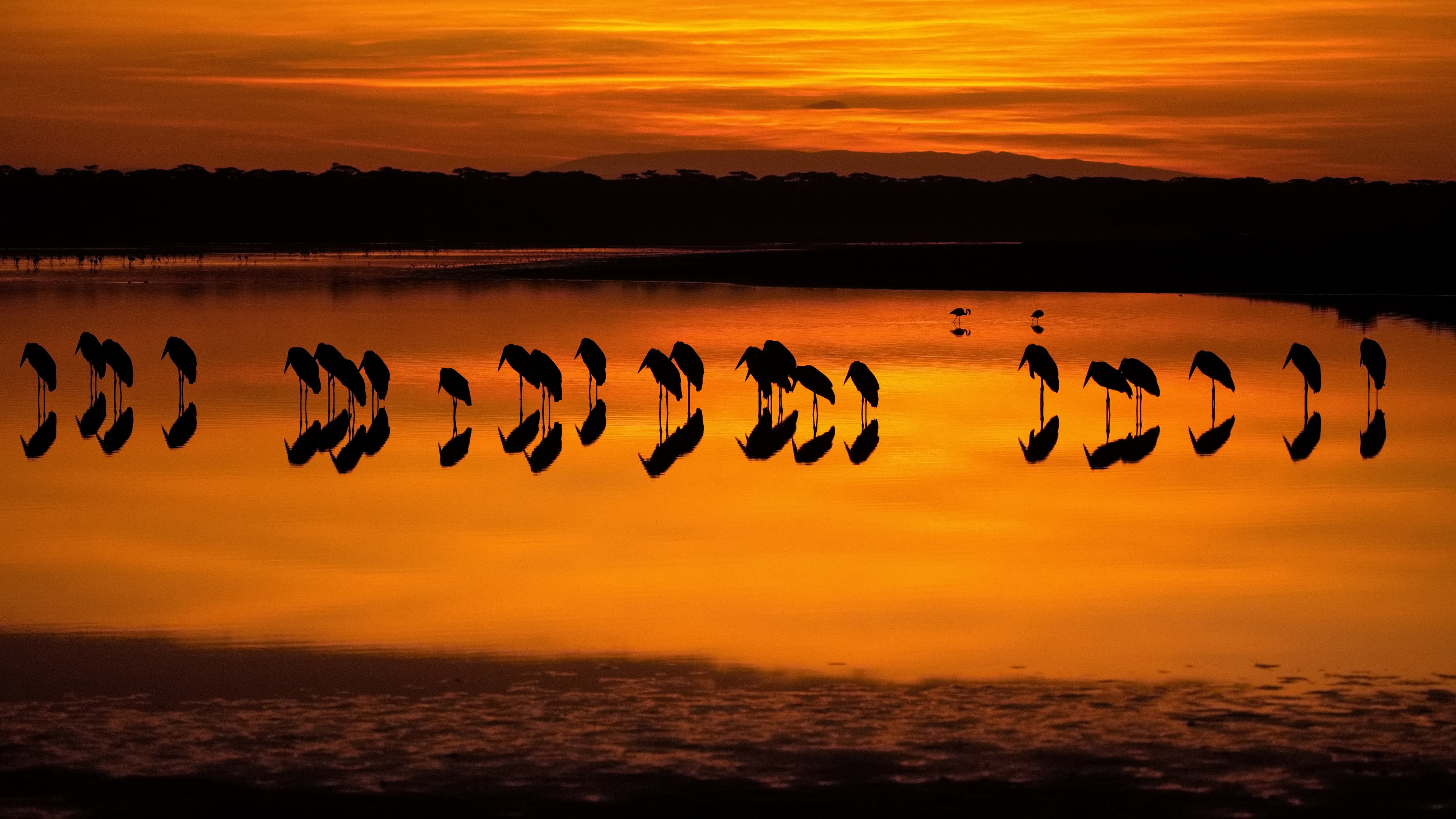 , Александр Перов