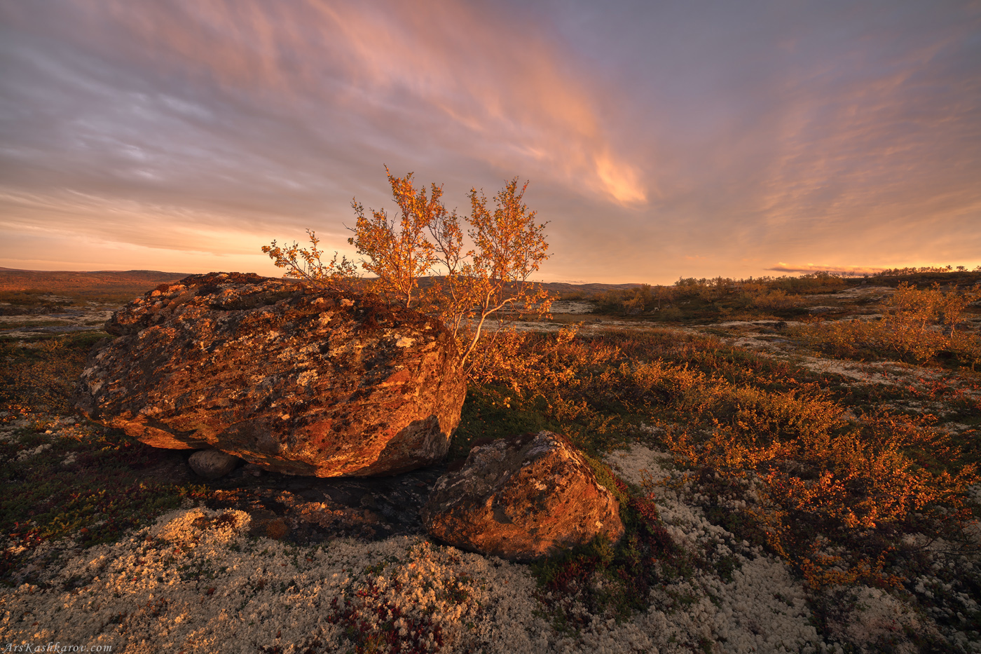 тундра, кольский, мурманская область, териберка, осень в тундре, арктика, Арсений Кашкаров