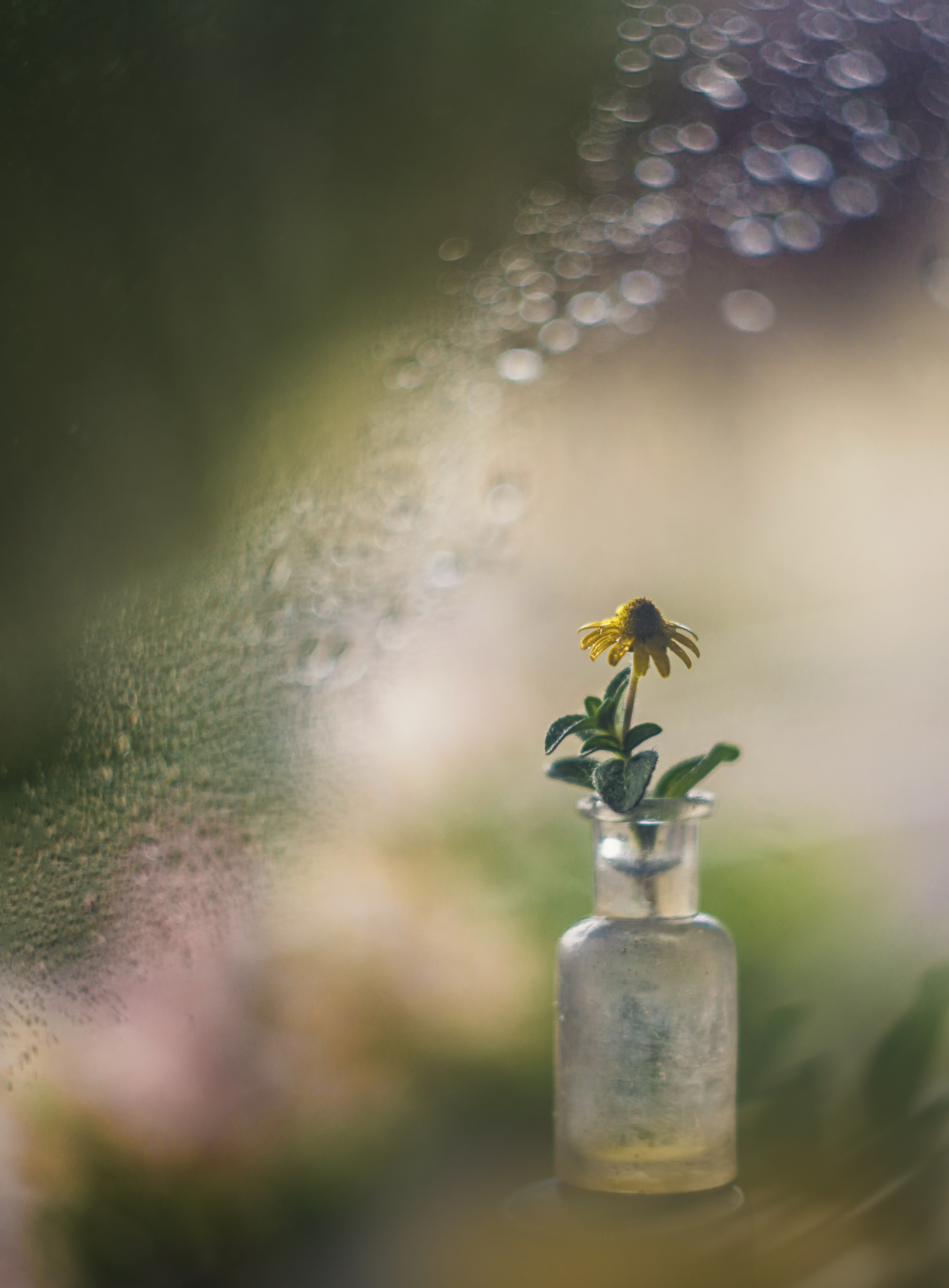 , Сигидова Ирина