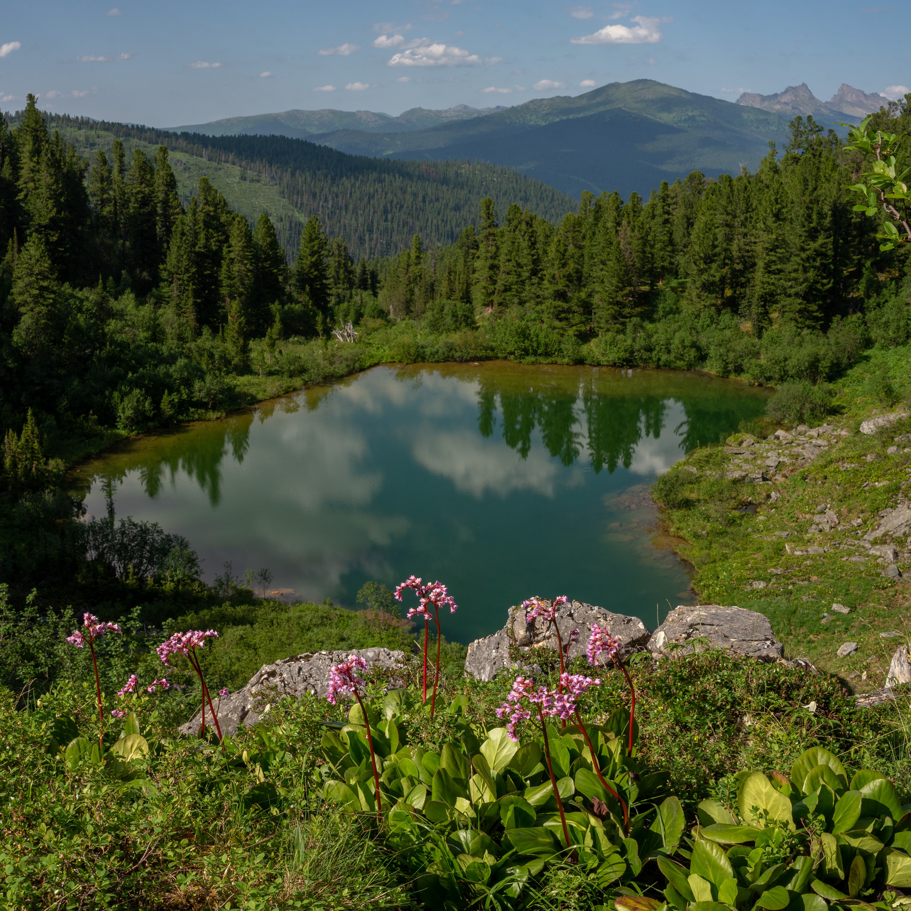 арадан, Беляев Юрий