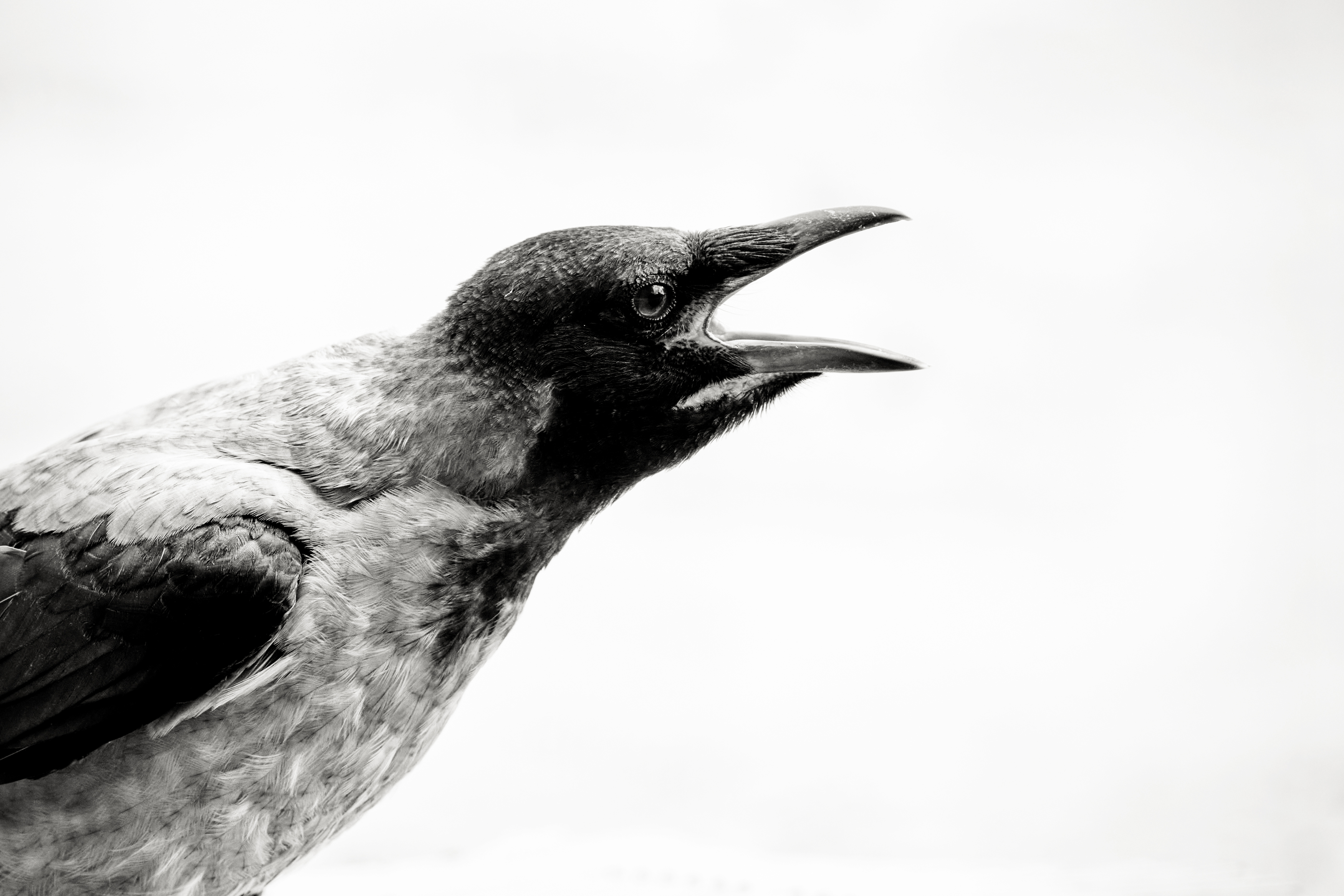 , ssmirs Сергей