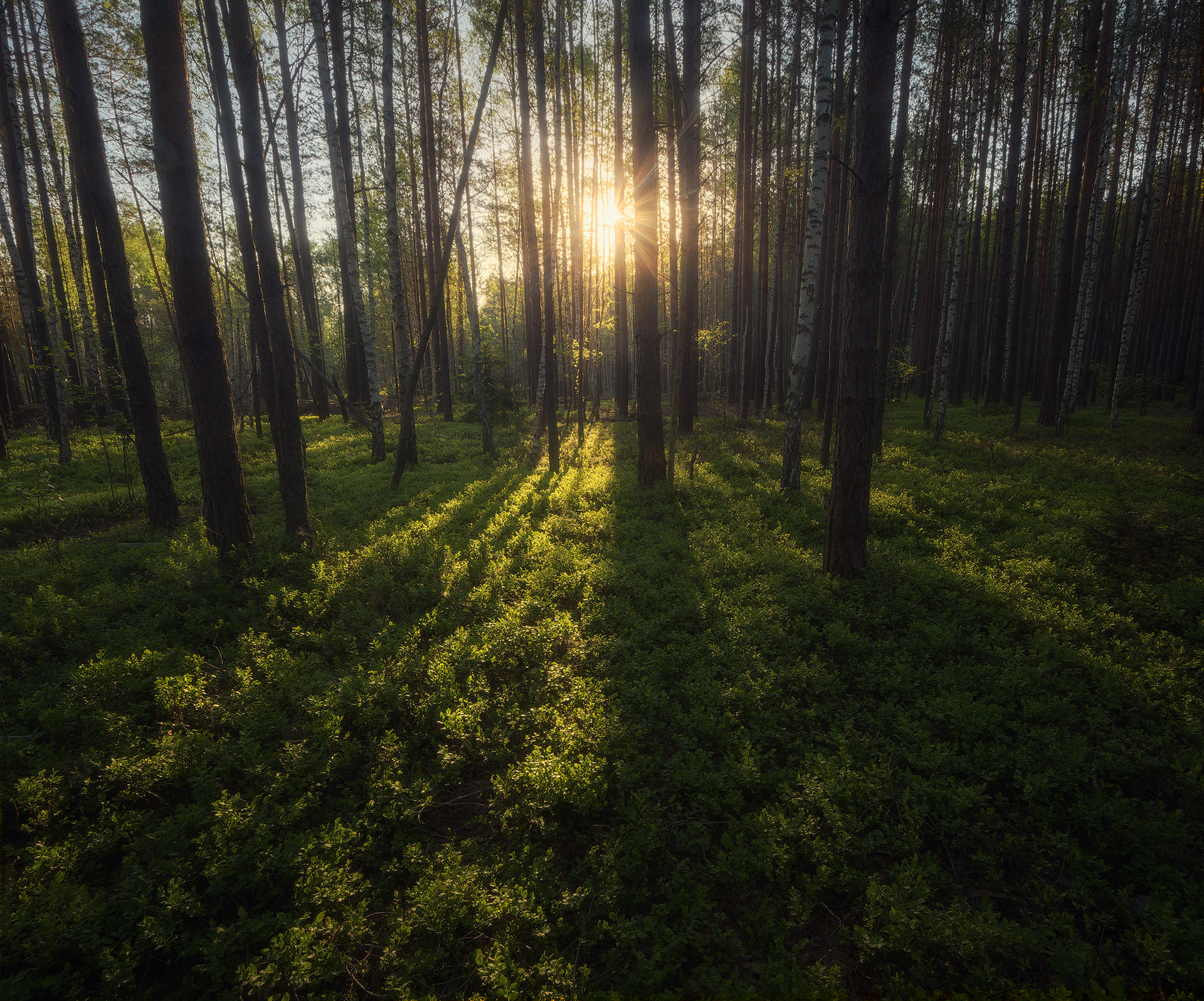 , Павел Жирнов