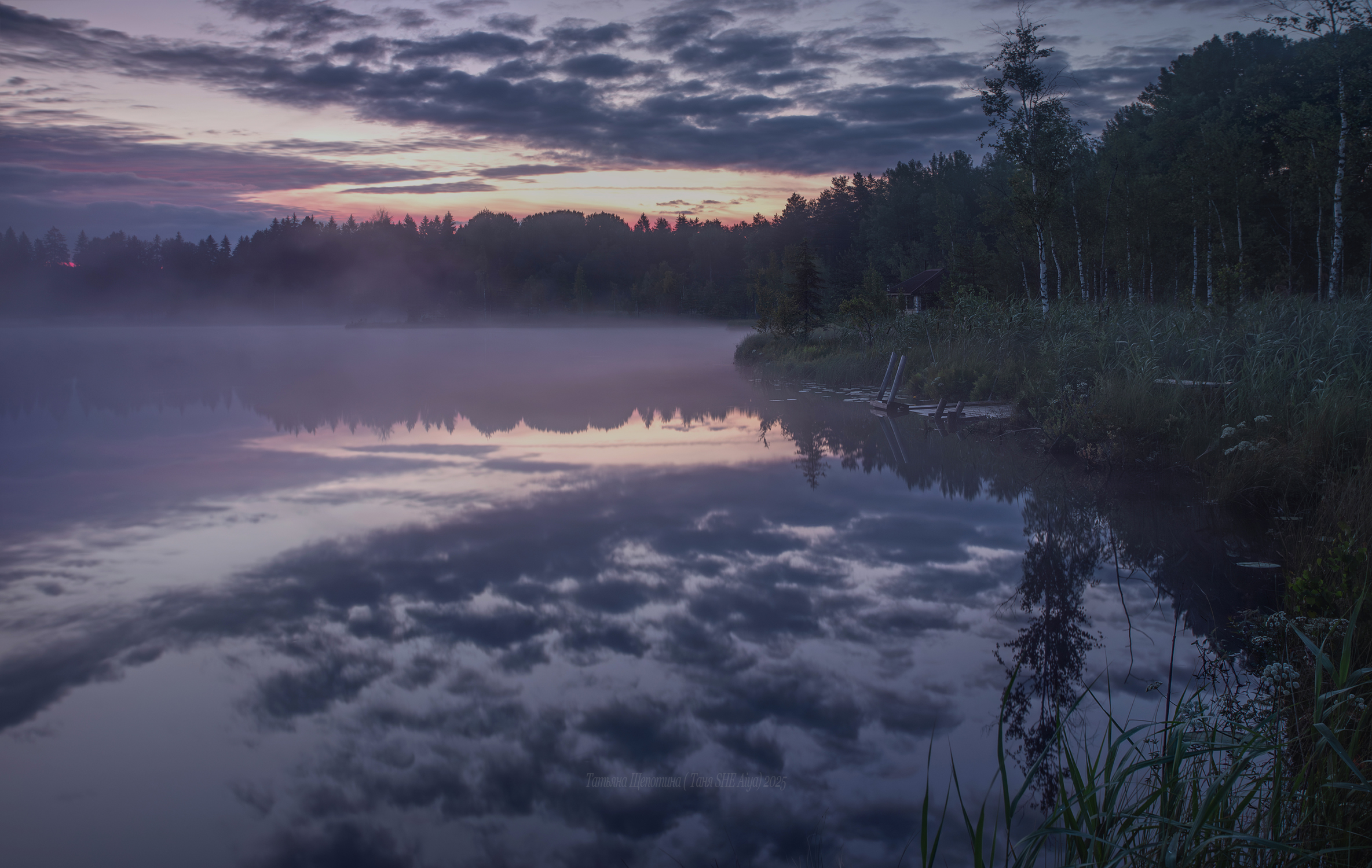 луга, ленобласть, пейзаж, рассвет, туман,  landscape, nature, природа, foggy, forest, болото, белая ночь, ленинградская область, Щепотина Татьяна
