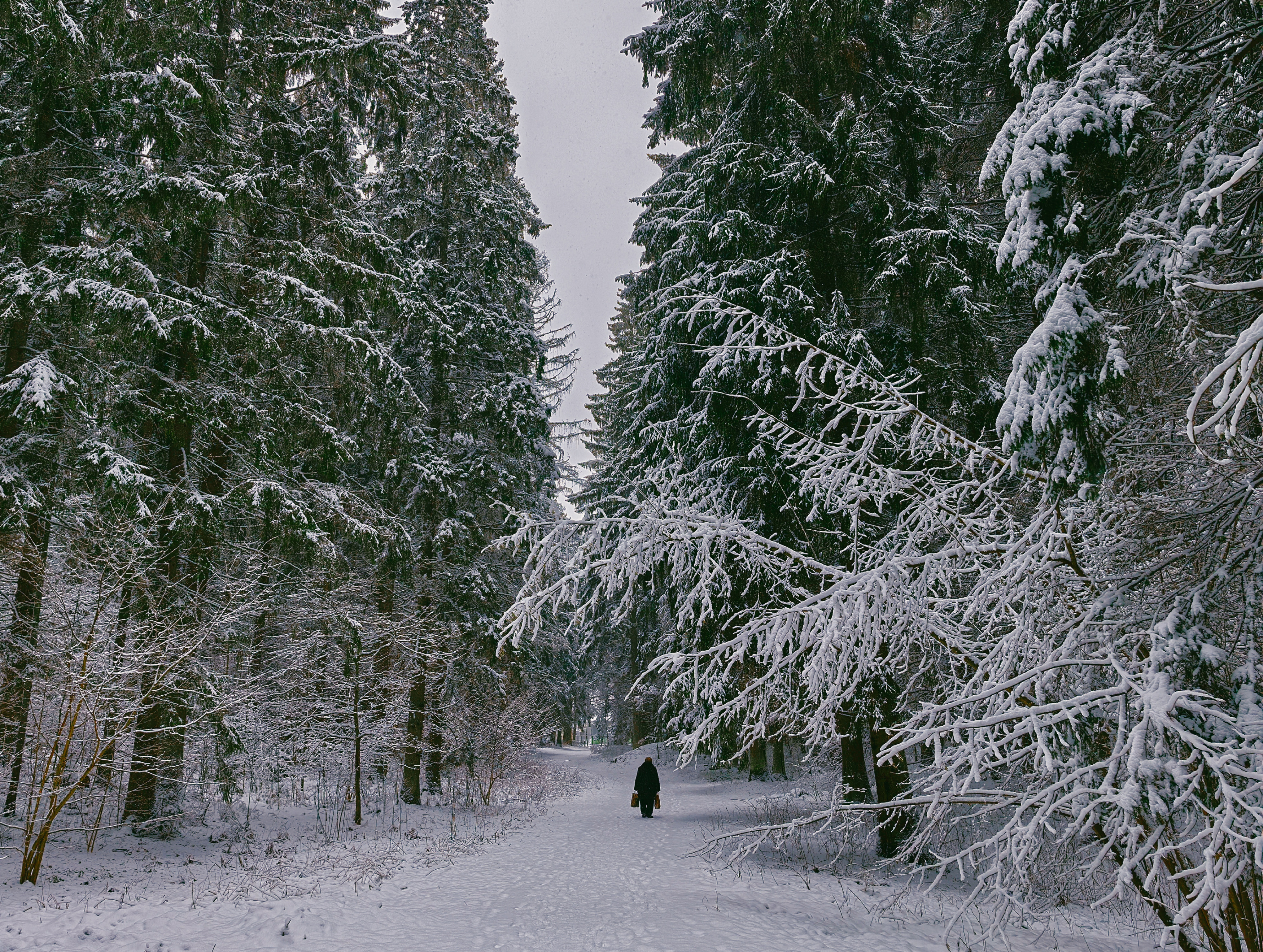 , Орлова Ксения