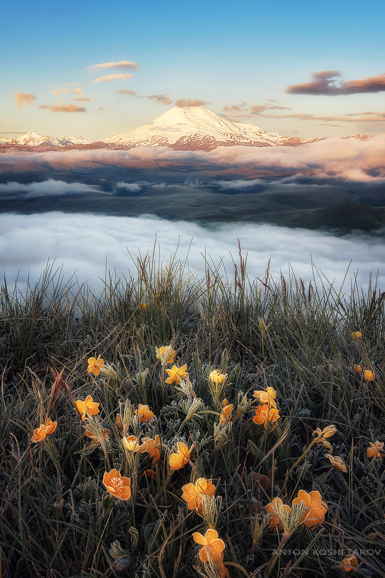 , Антон Кошетаров