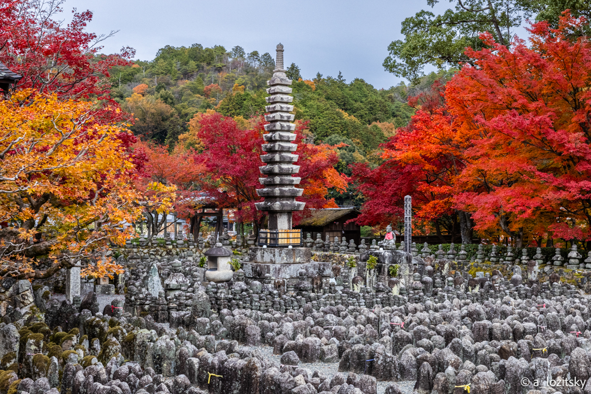 , Лозицкий Александр
